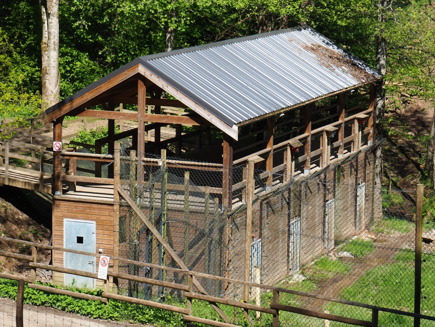 Eurasian brown bear holding building with viewing area on top, 2021-05-29