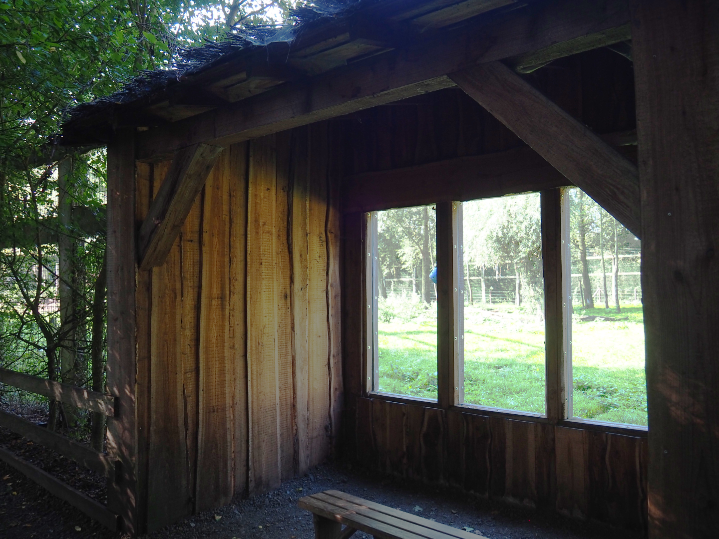 Eurasian brown bear viewing area, 2020-09-12