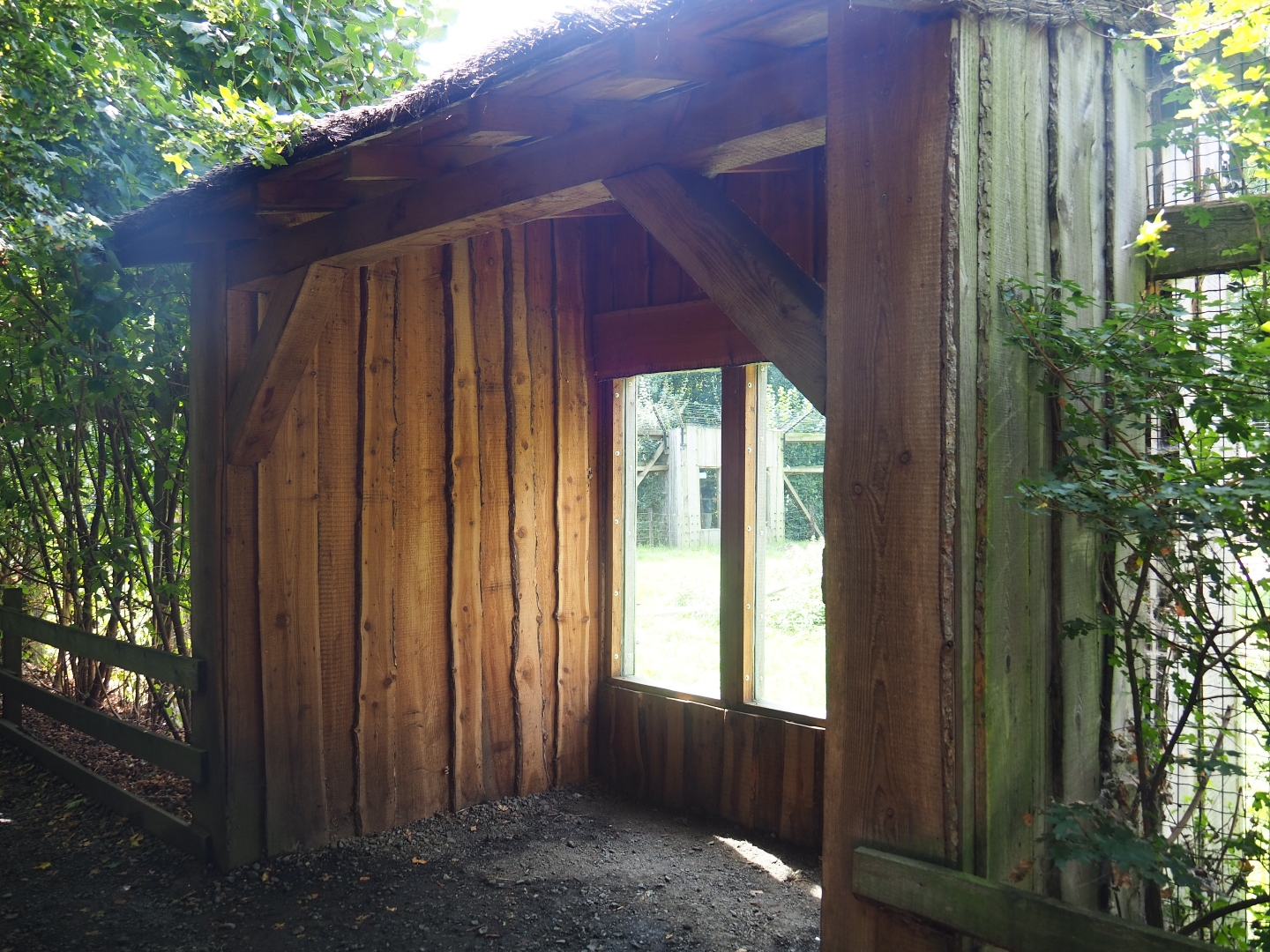 Eurasian brown bear viewing area