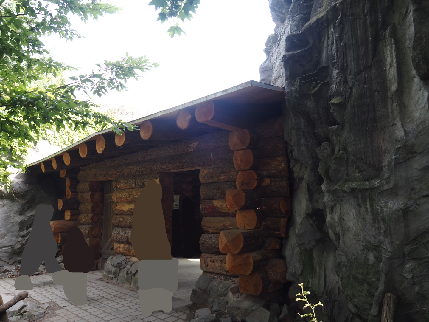 Eurasian brown bear viewing cabin, 2024-08-05
