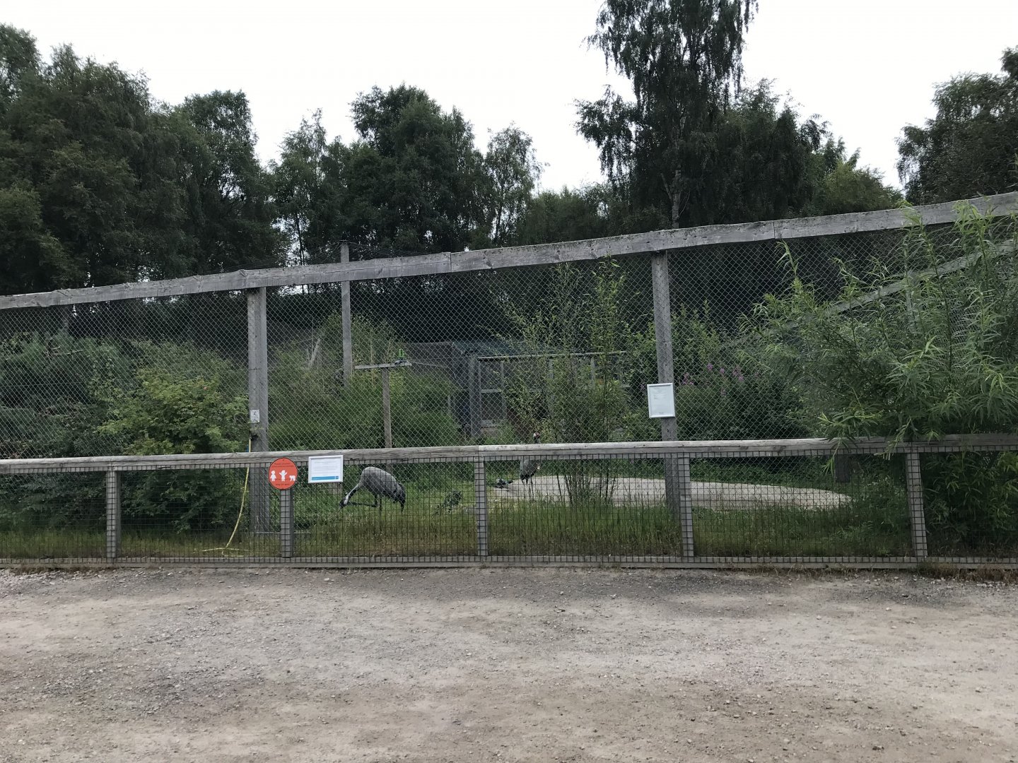 Eurasian crane aviary