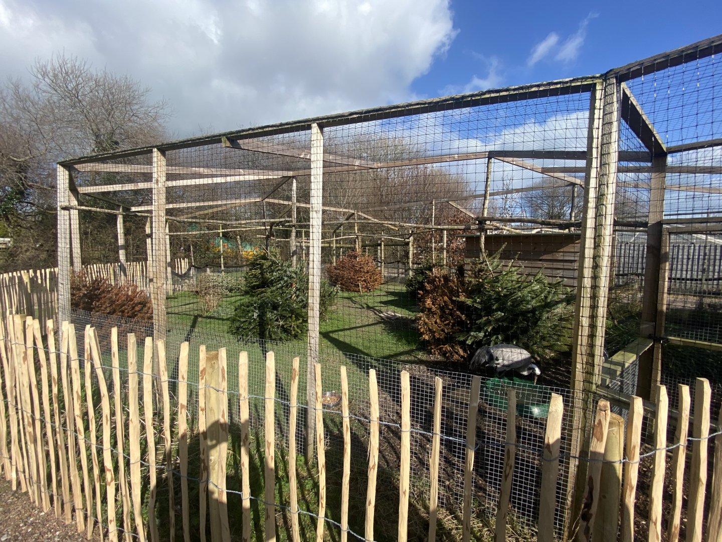 Eurasian crane enclosure 250222