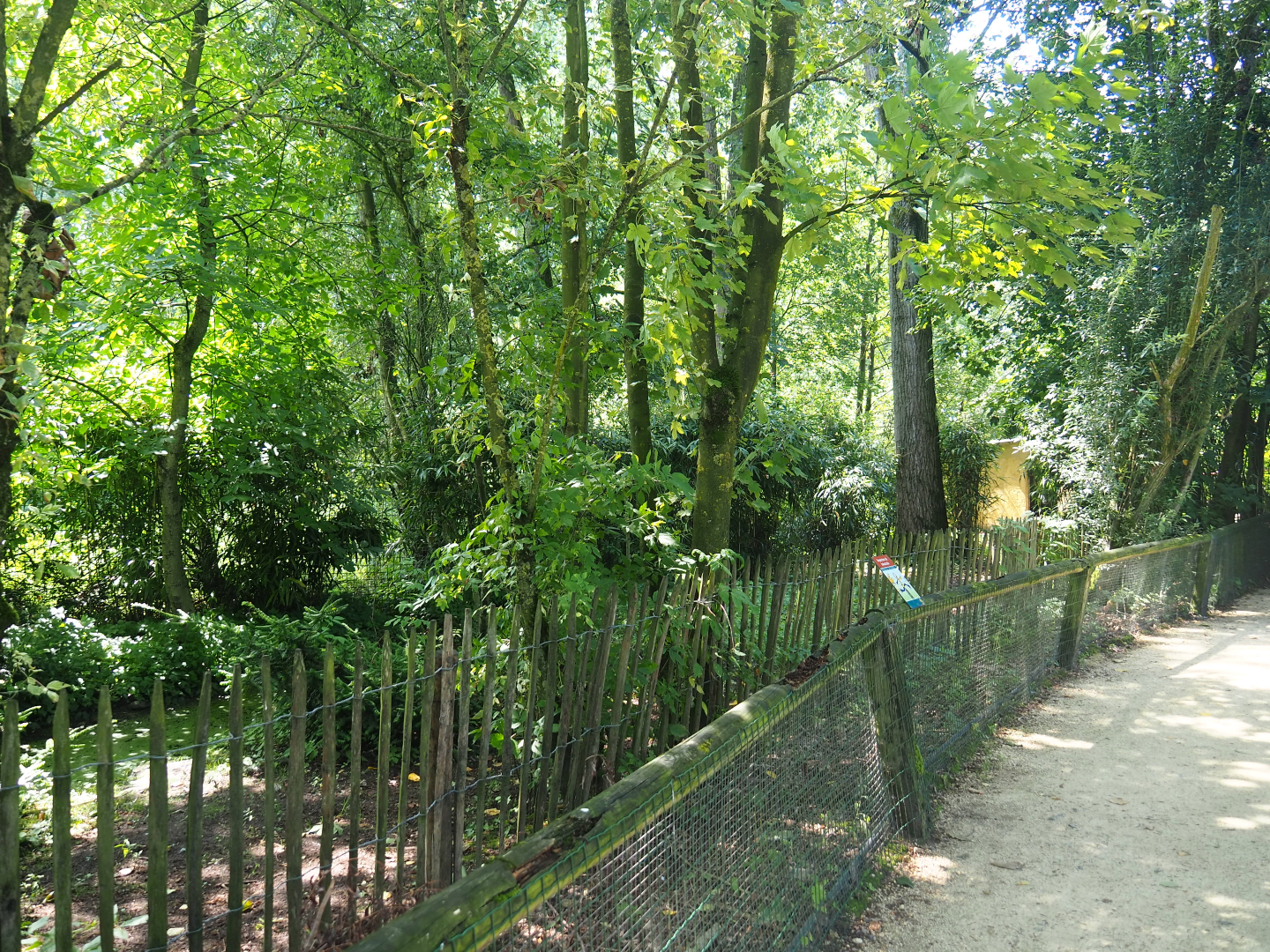 Eurasian crane exhibit,, 2019-08-04