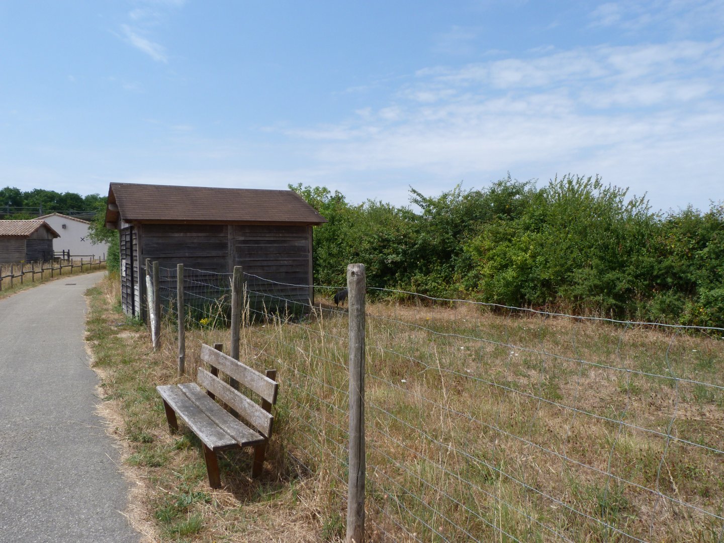 Eurasian crane exhibit -Zoodyssée (2025)