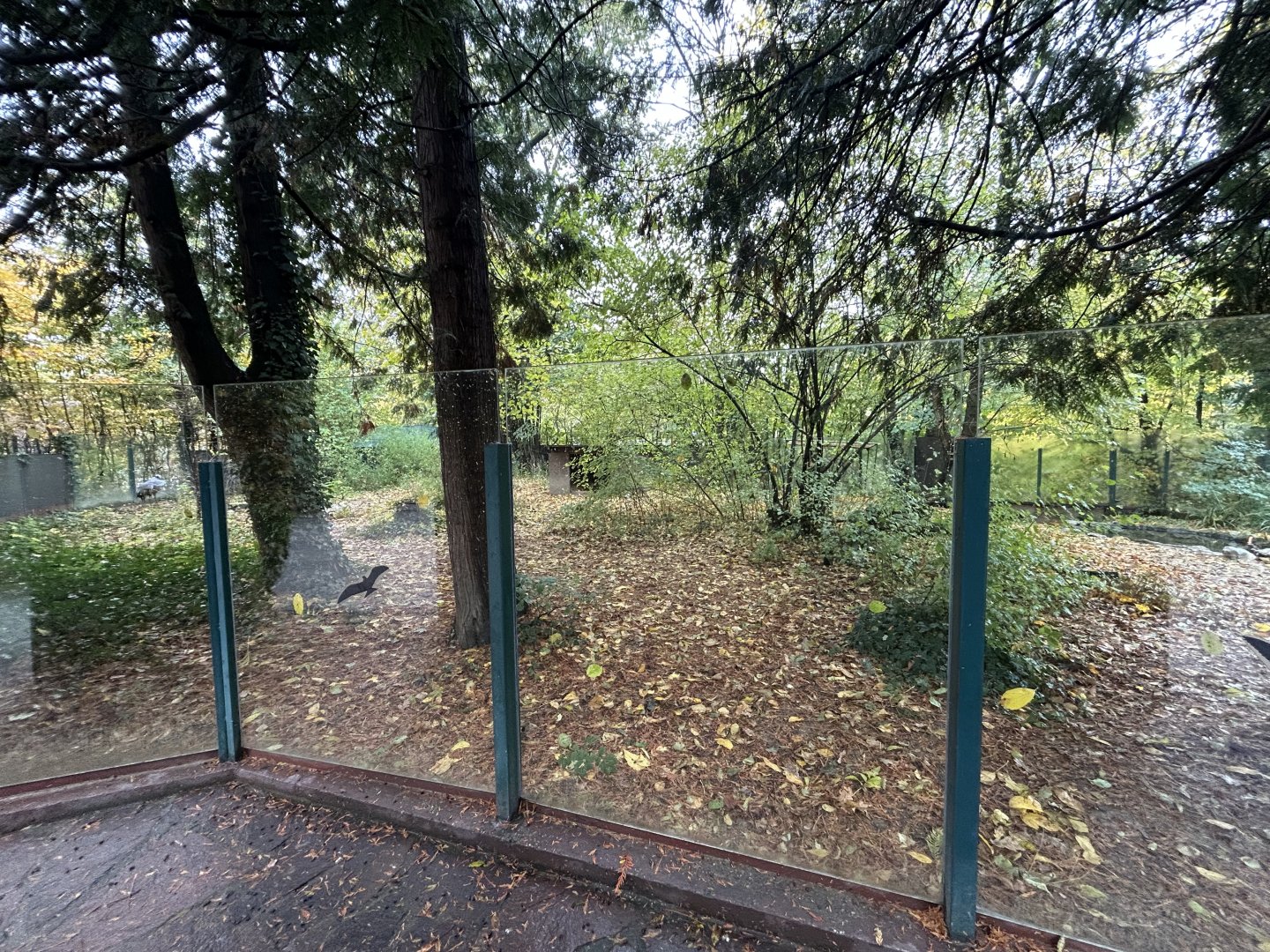 Eurasian Crane Exhibit