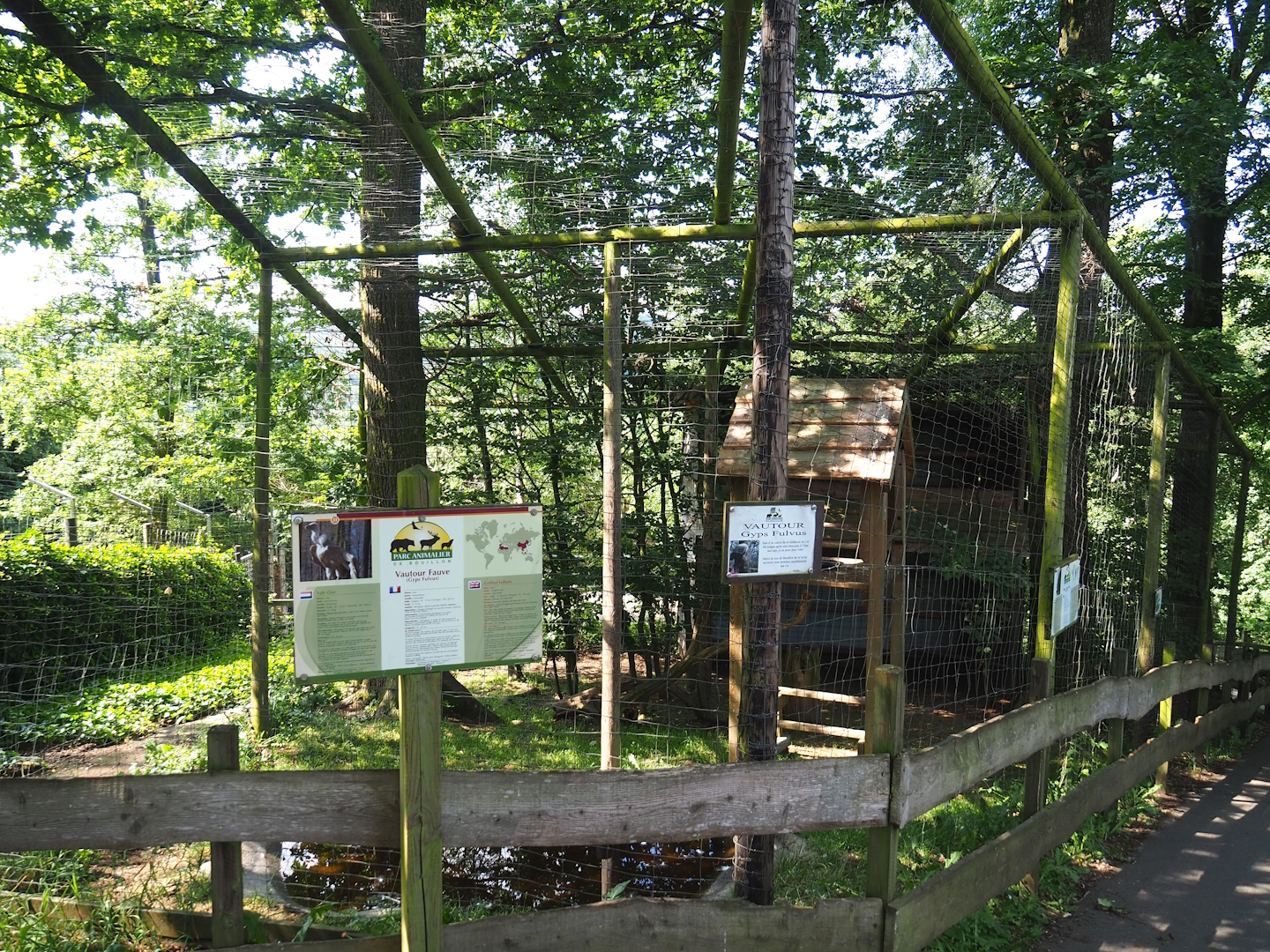 Eurasian eagle-owl and Western Eurasian griffon vulture aviary, 2023-06-24