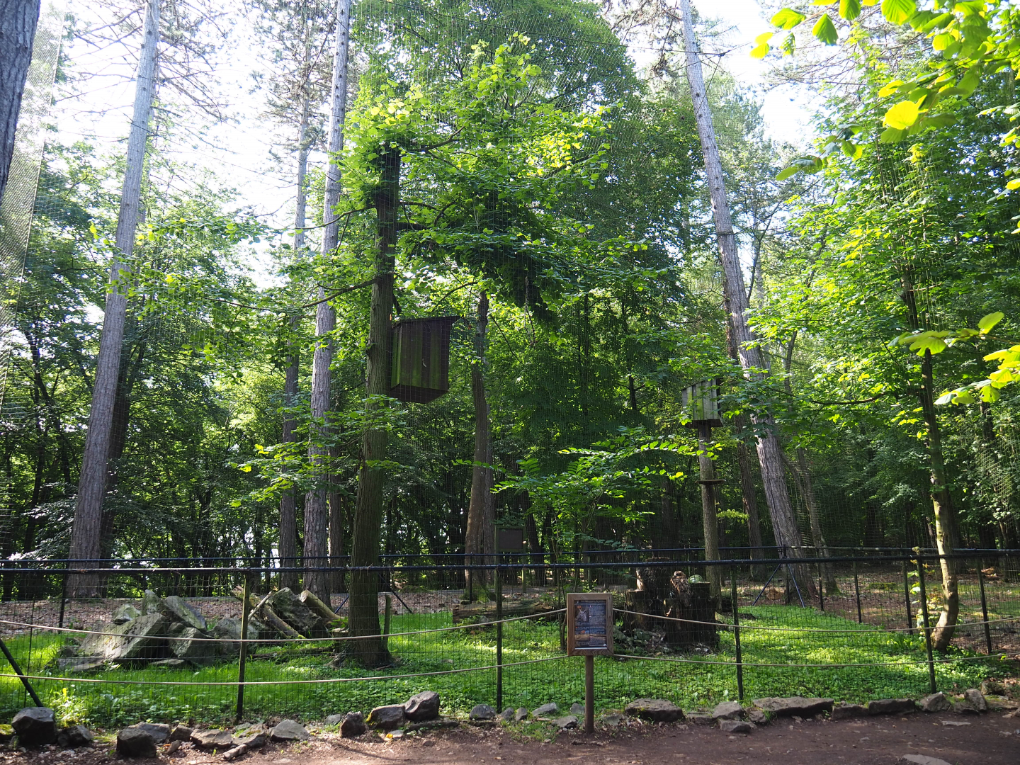 Eurasian eagle owl aviary, 2021-08-15