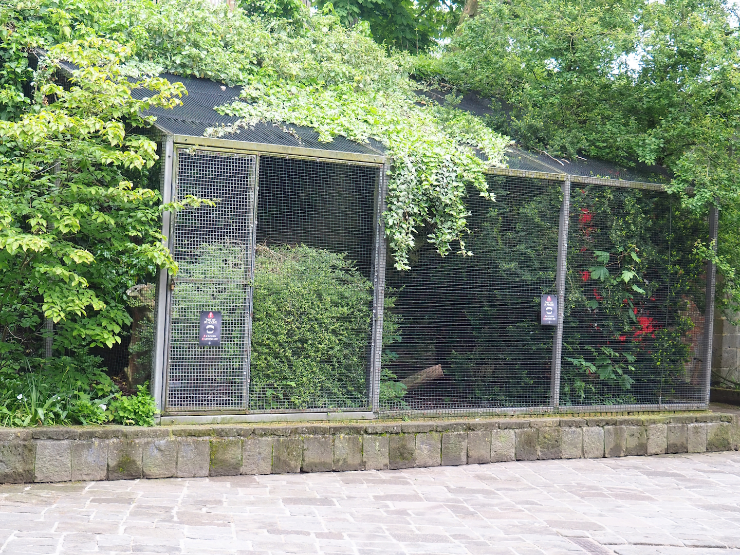 Eurasian eagle-owl aviary, 2023-05-15