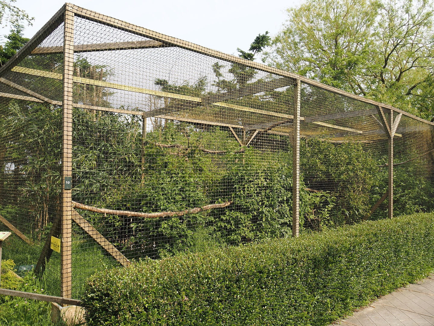 Eurasian eagle owl aviary, 2024-05-11