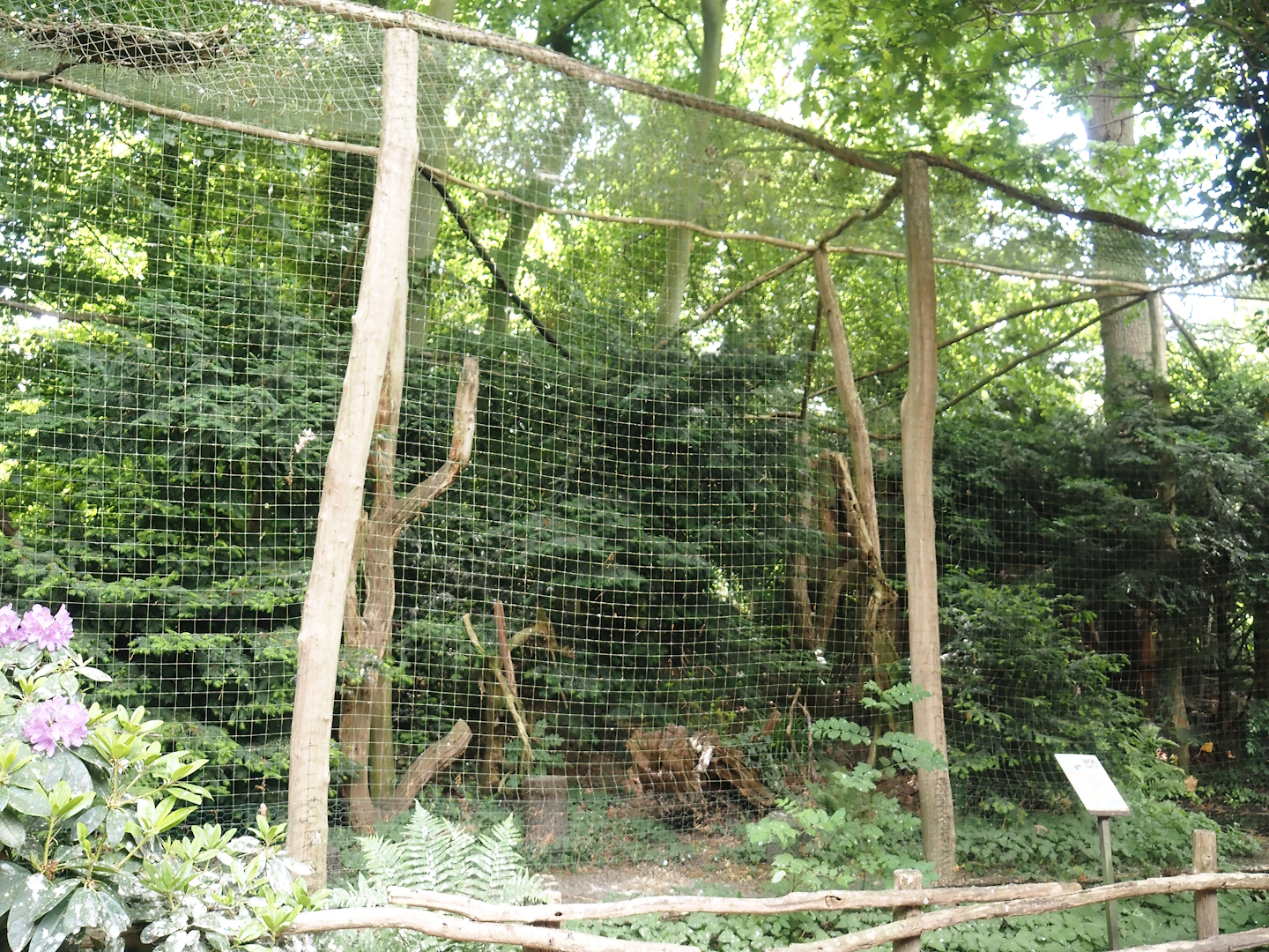 Eurasian eagle owl aviary, 2025-05-22