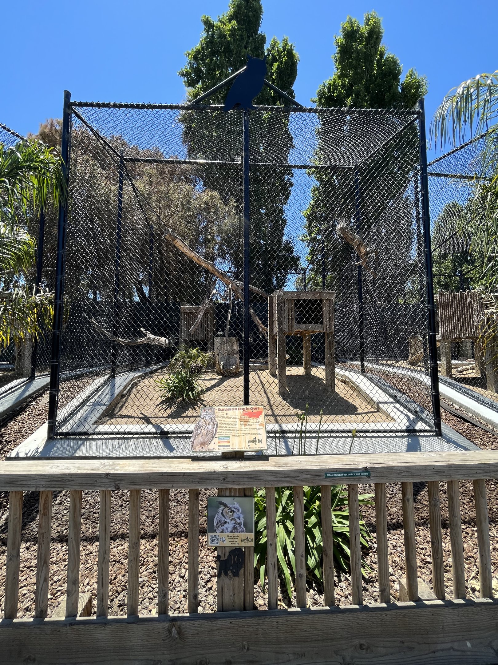 Eurasian Eagle Owl Aviary - New