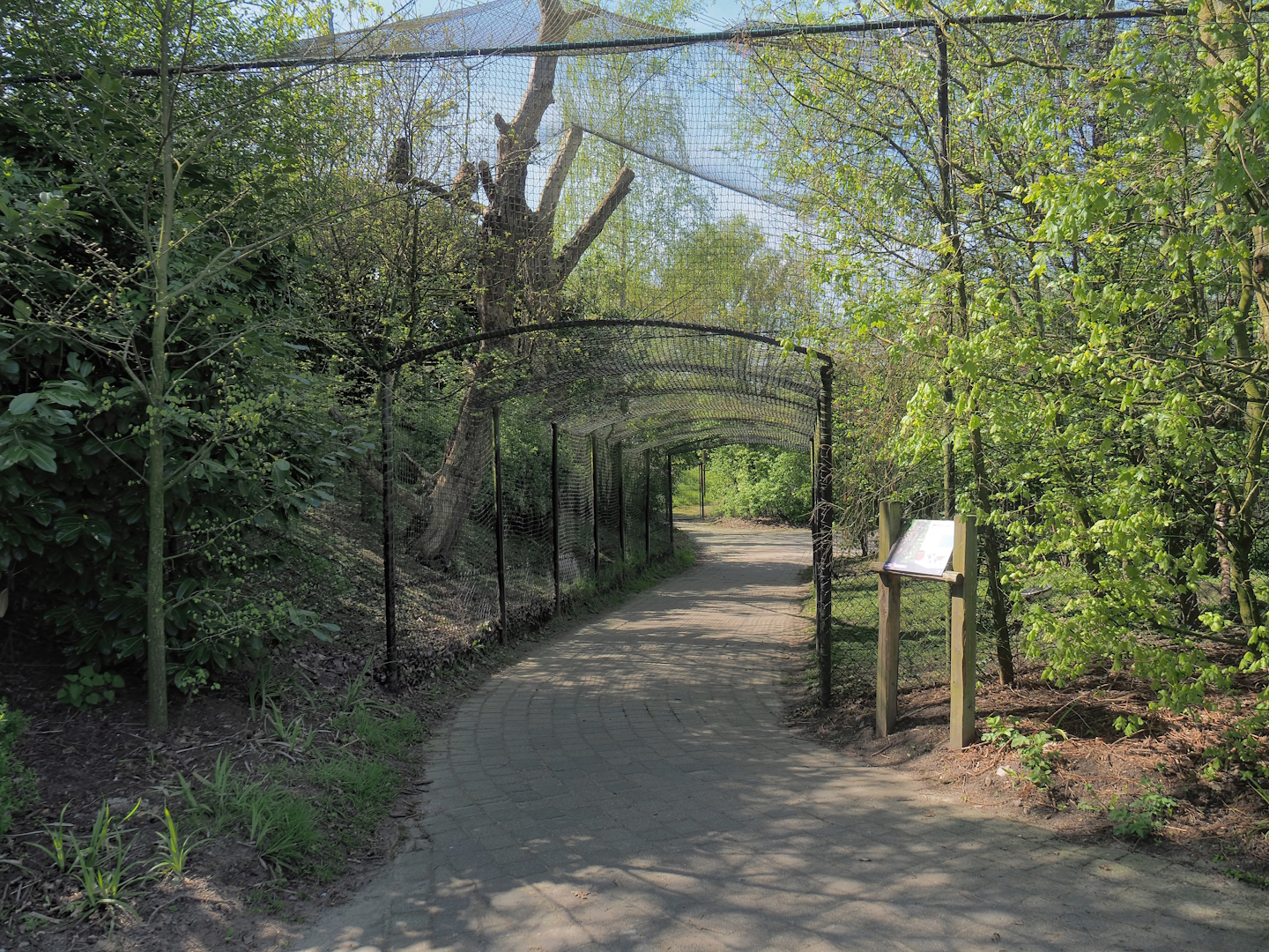 Eurasian eagle-owl aviary with tunnel, 2023-04-30