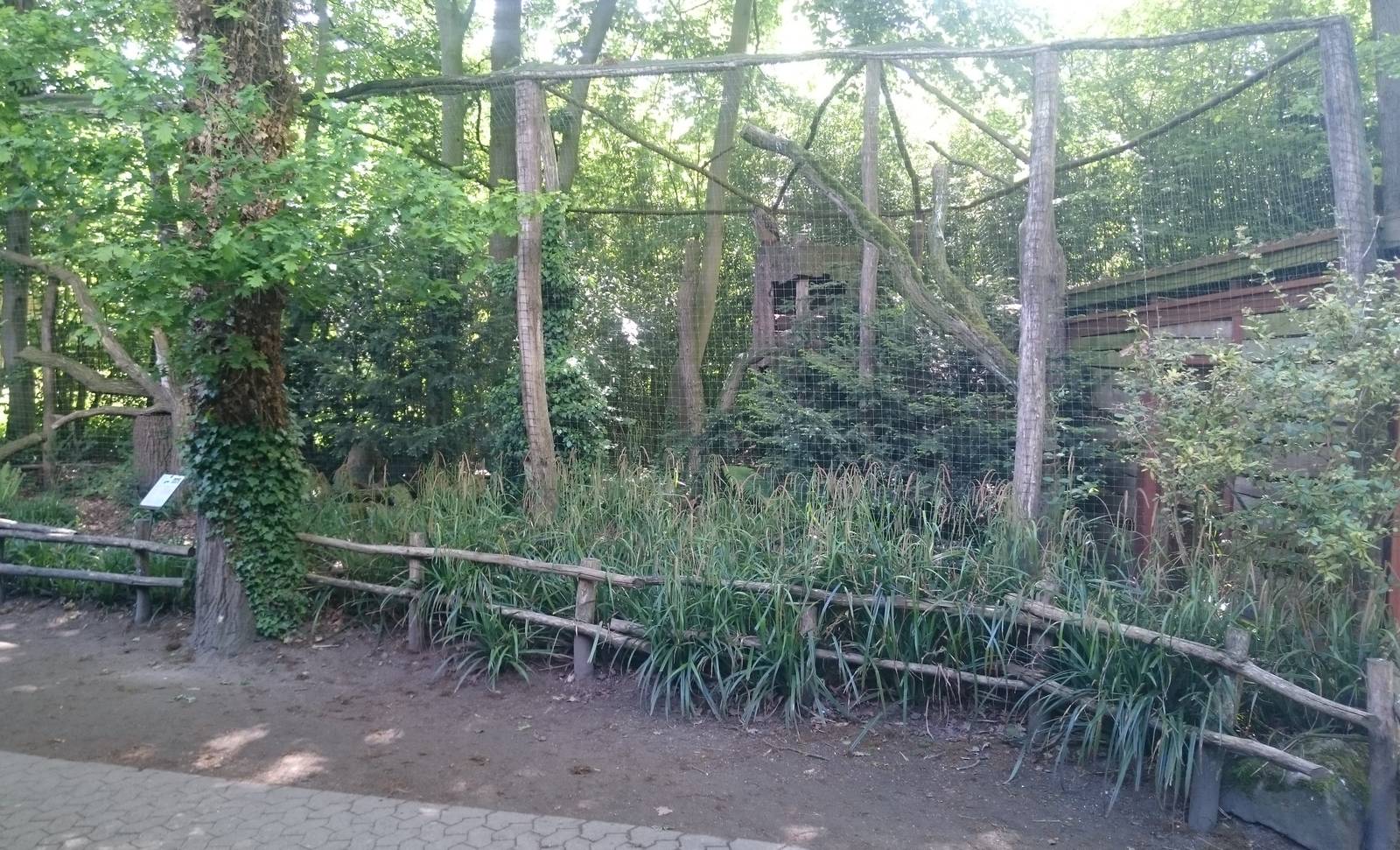Eurasian eagle owl aviary