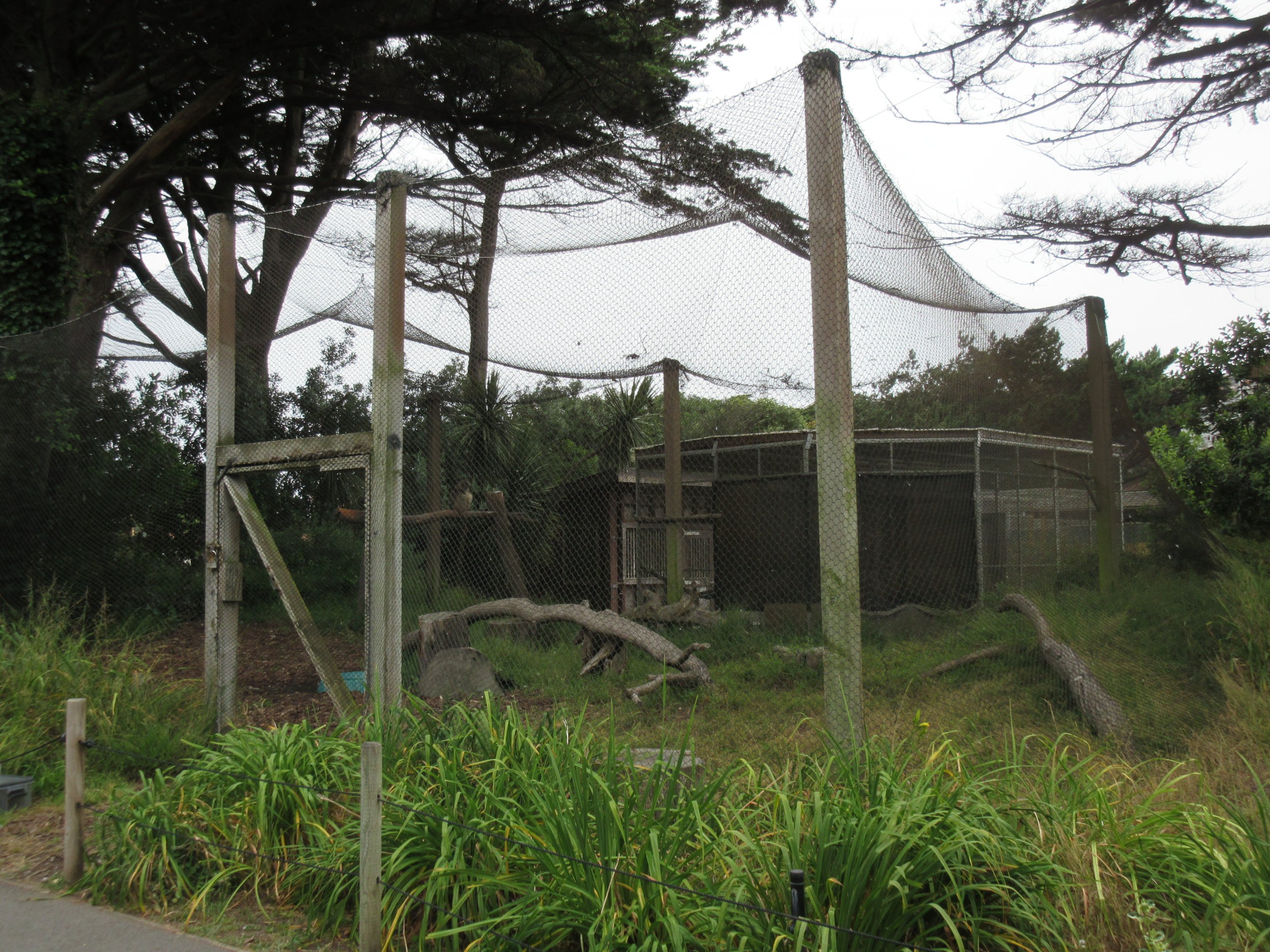 Eurasian Eagle Owl Aviary