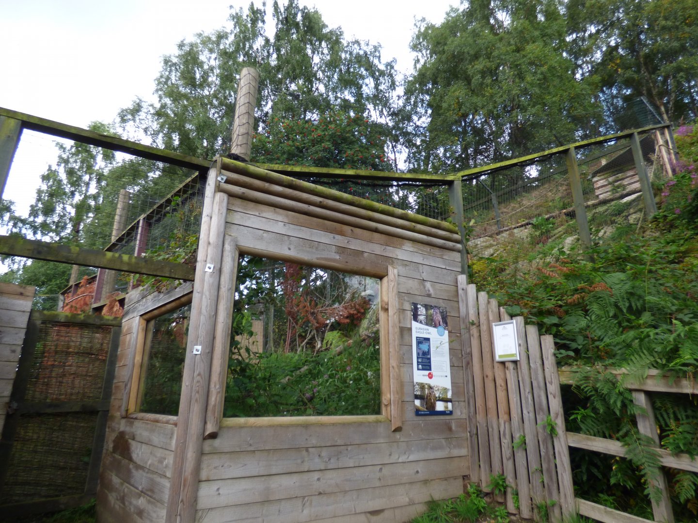 Eurasian Eagle Owl Aviary