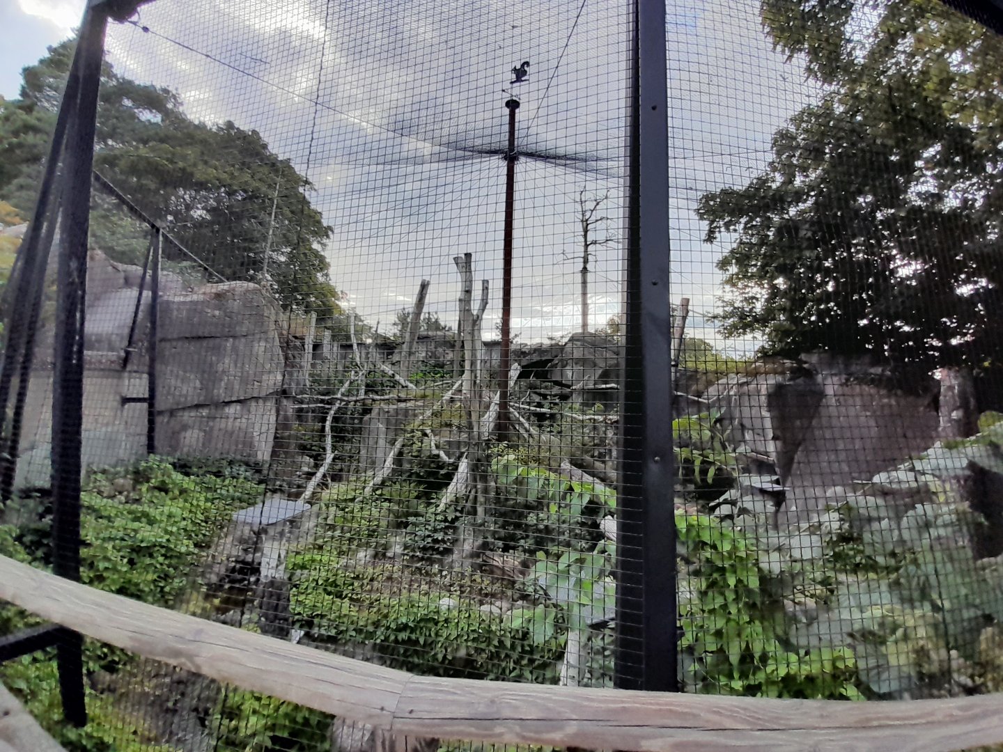 Eurasian eagle owl aviary