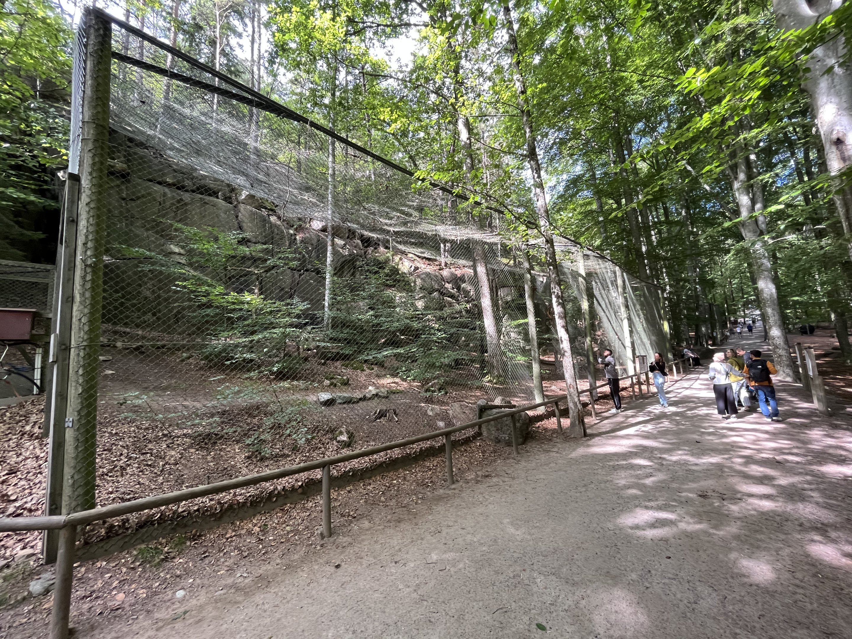 Eurasian Eagle Owl Aviary