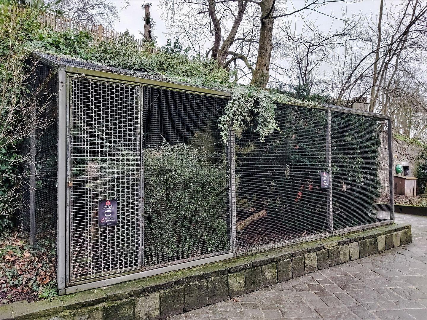 Eurasian eagle-owl aviary