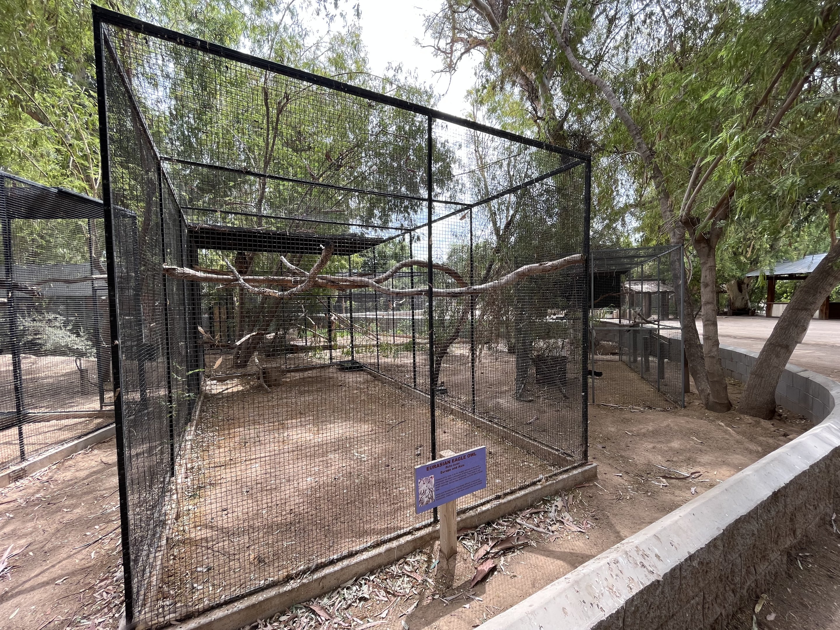 Eurasian Eagle Owl Aviary