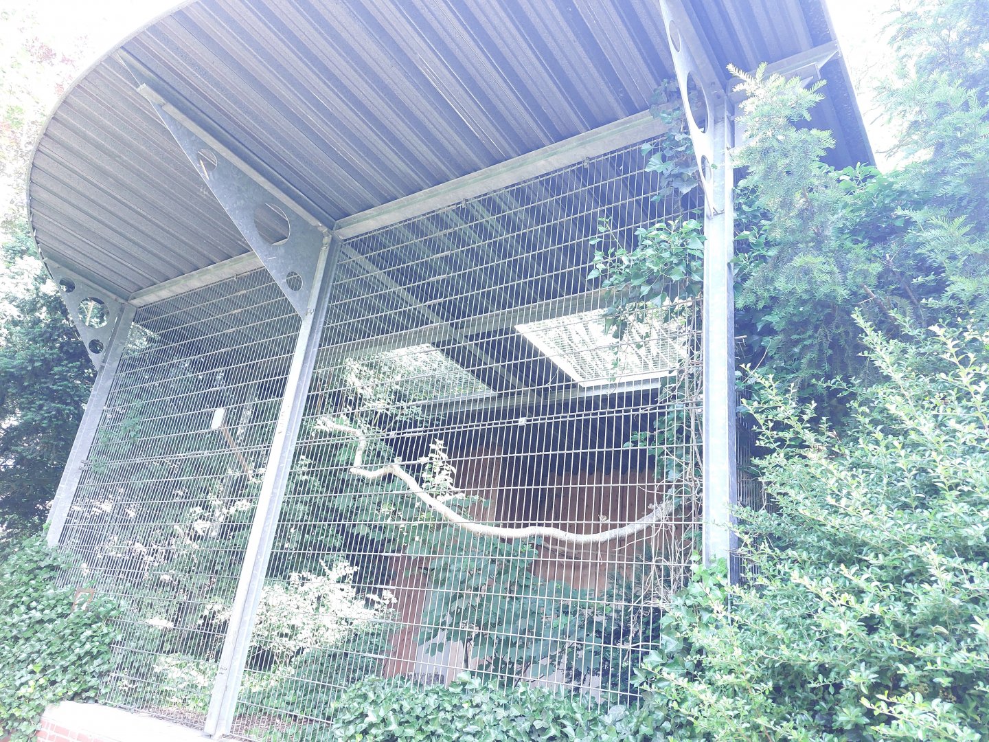 Eurasian eagle owl aviary