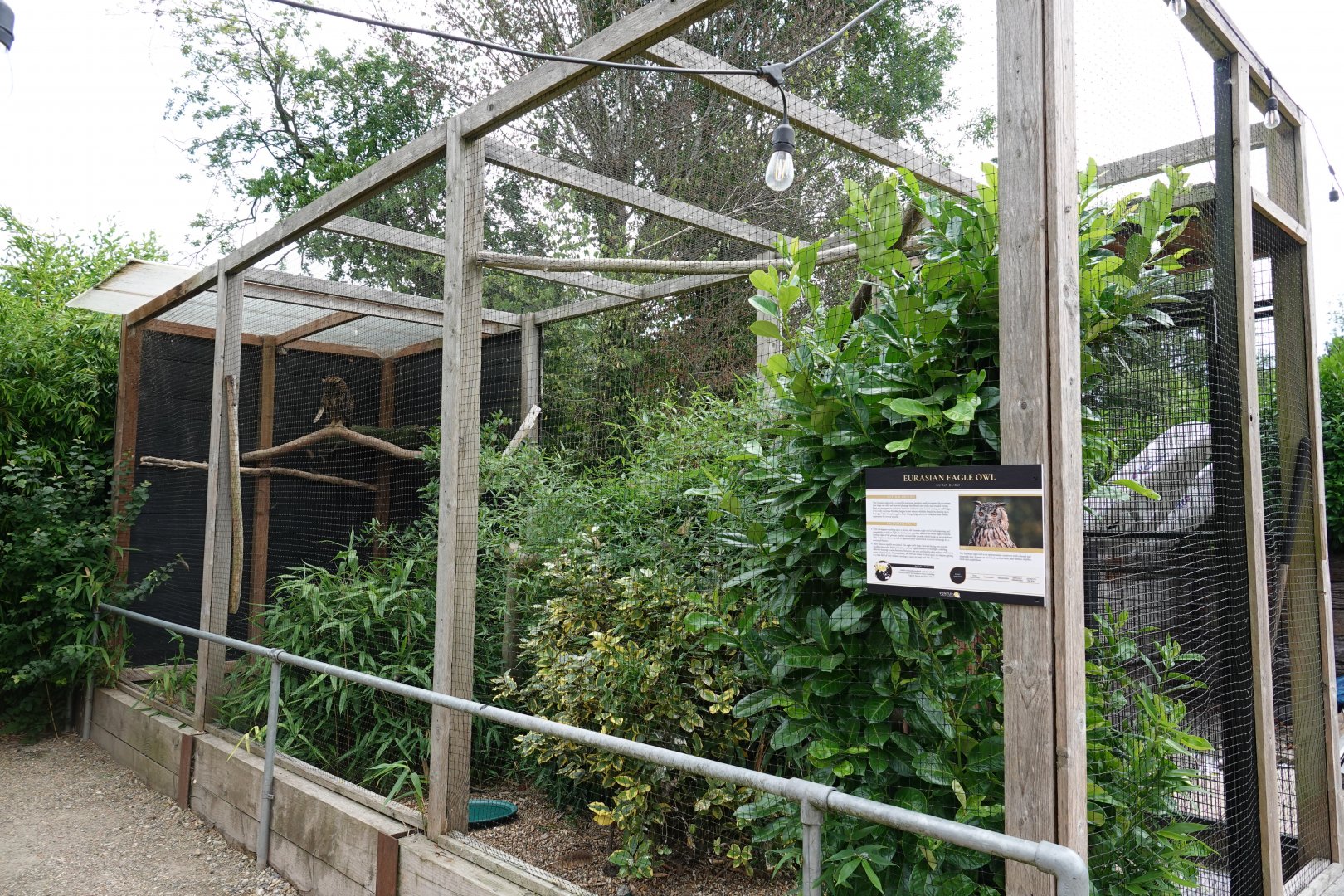 Eurasian eagle owl aviary