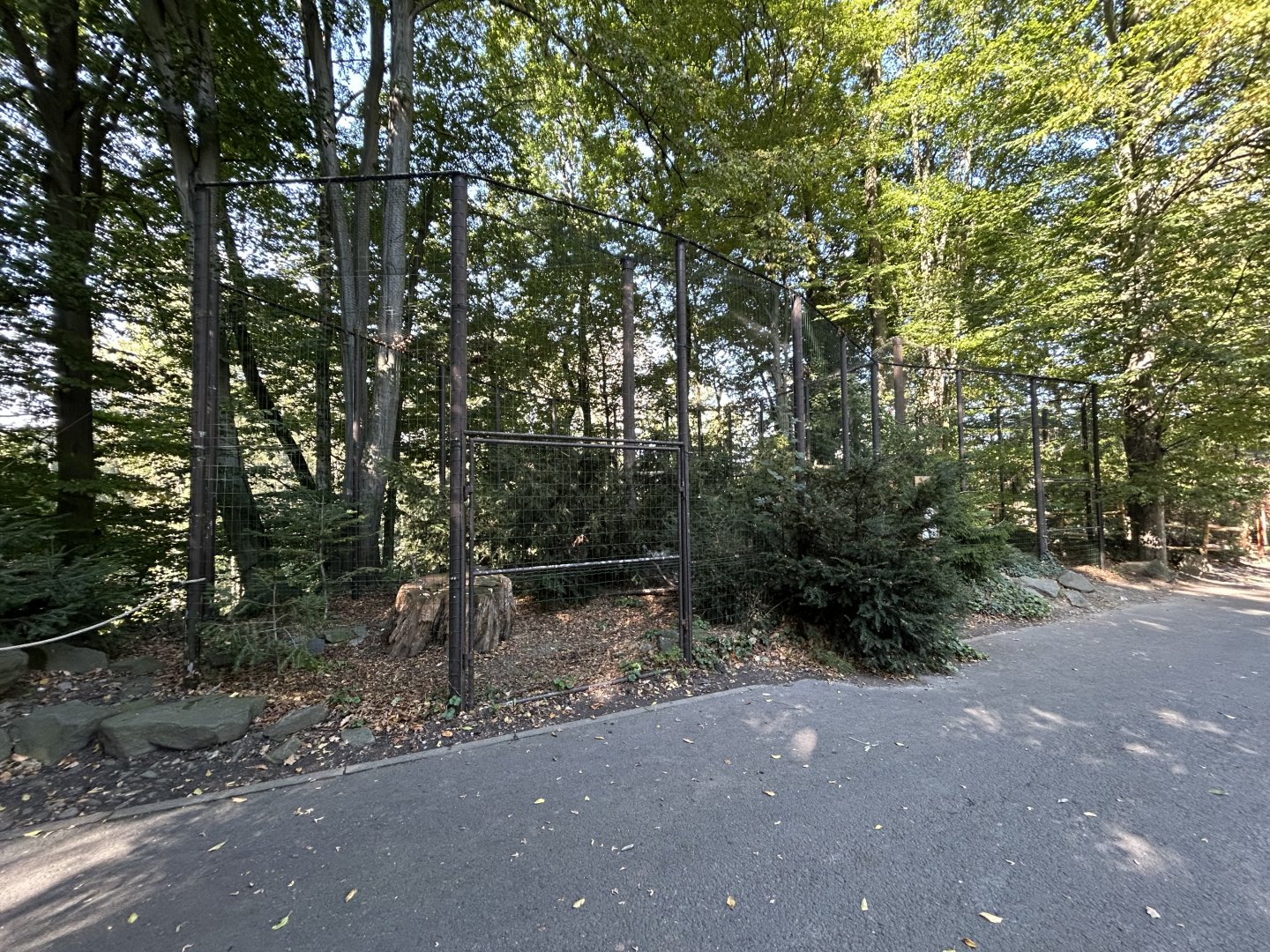 Eurasian Eagle Owl Aviary