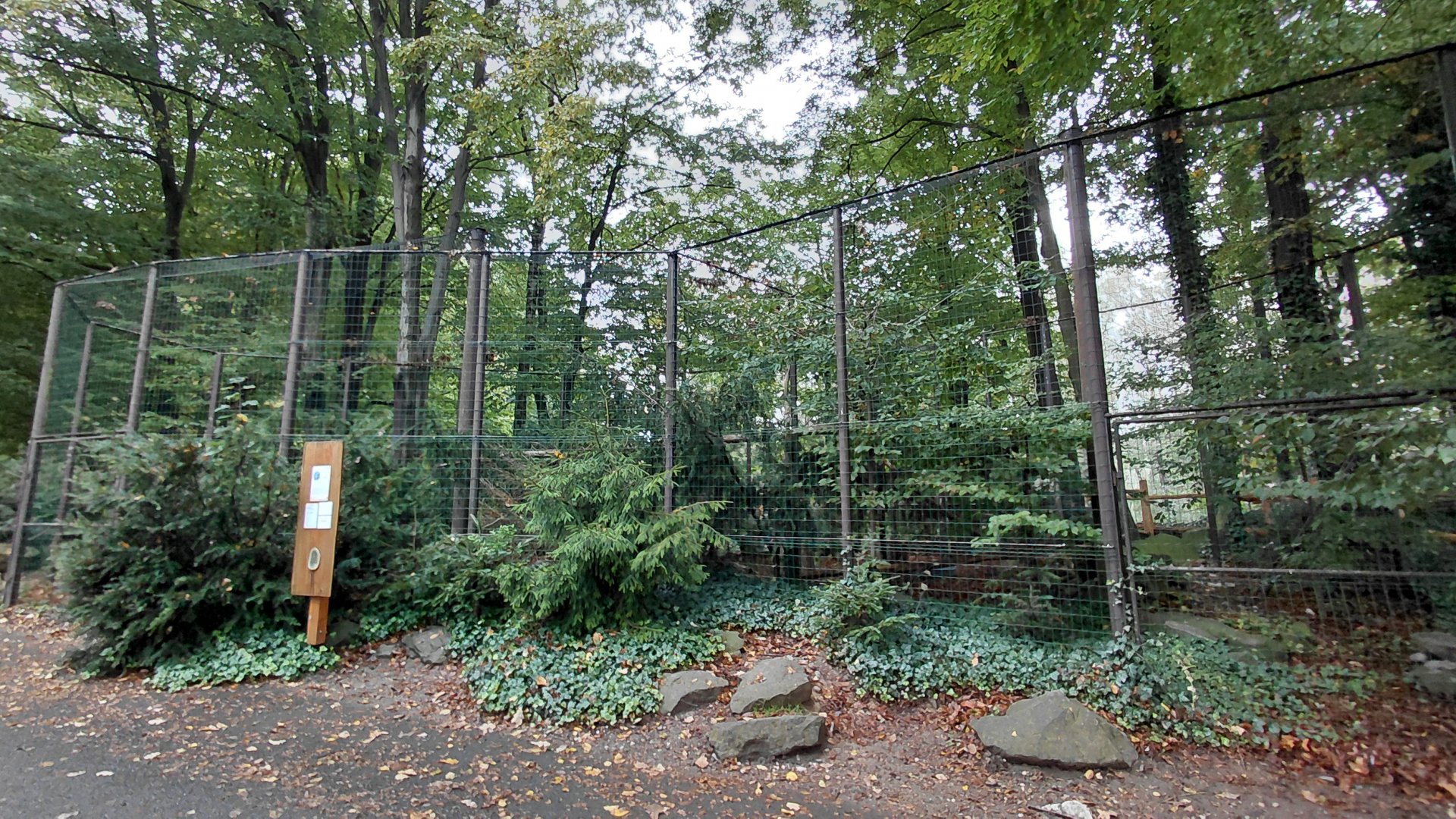 Eurasian eagle-owl aviary