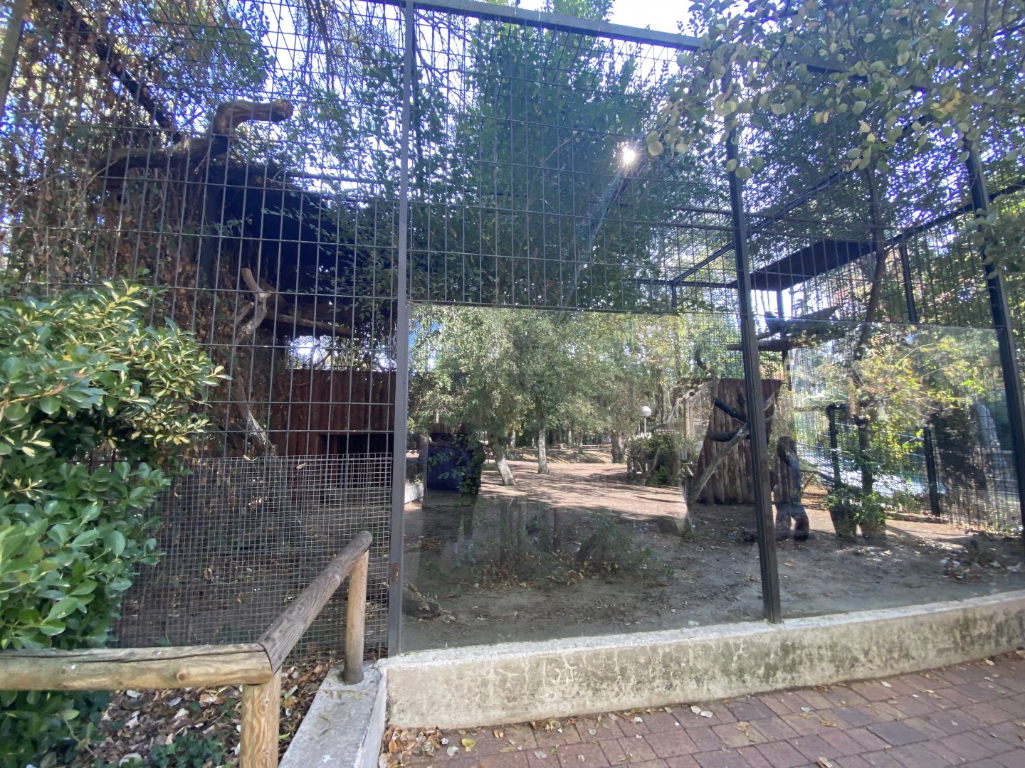 Eurasian eagle owl aviary