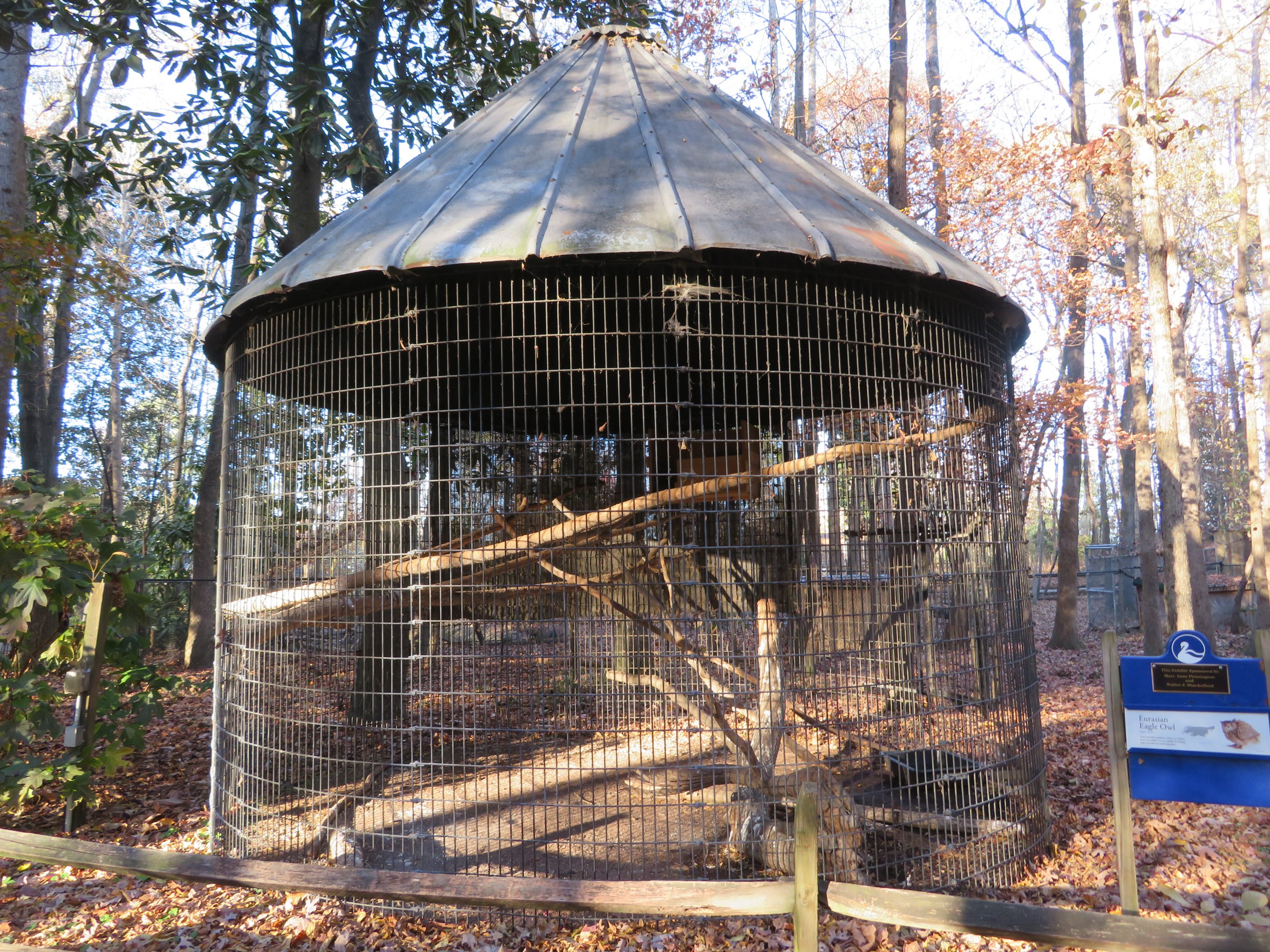 Eurasian Eagle-owl Cage