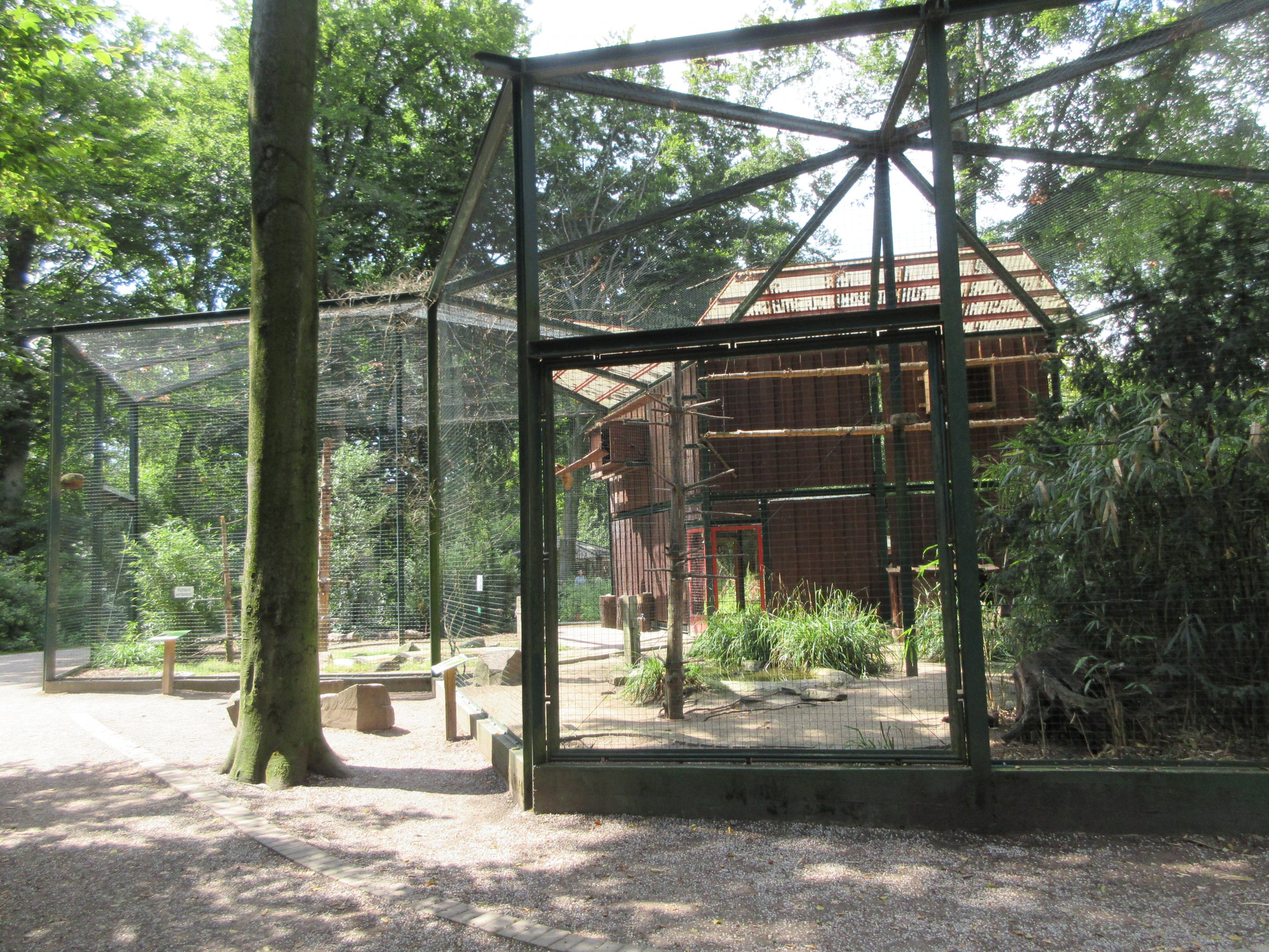 Eurasian Eagle Owl + Crow Exhibits