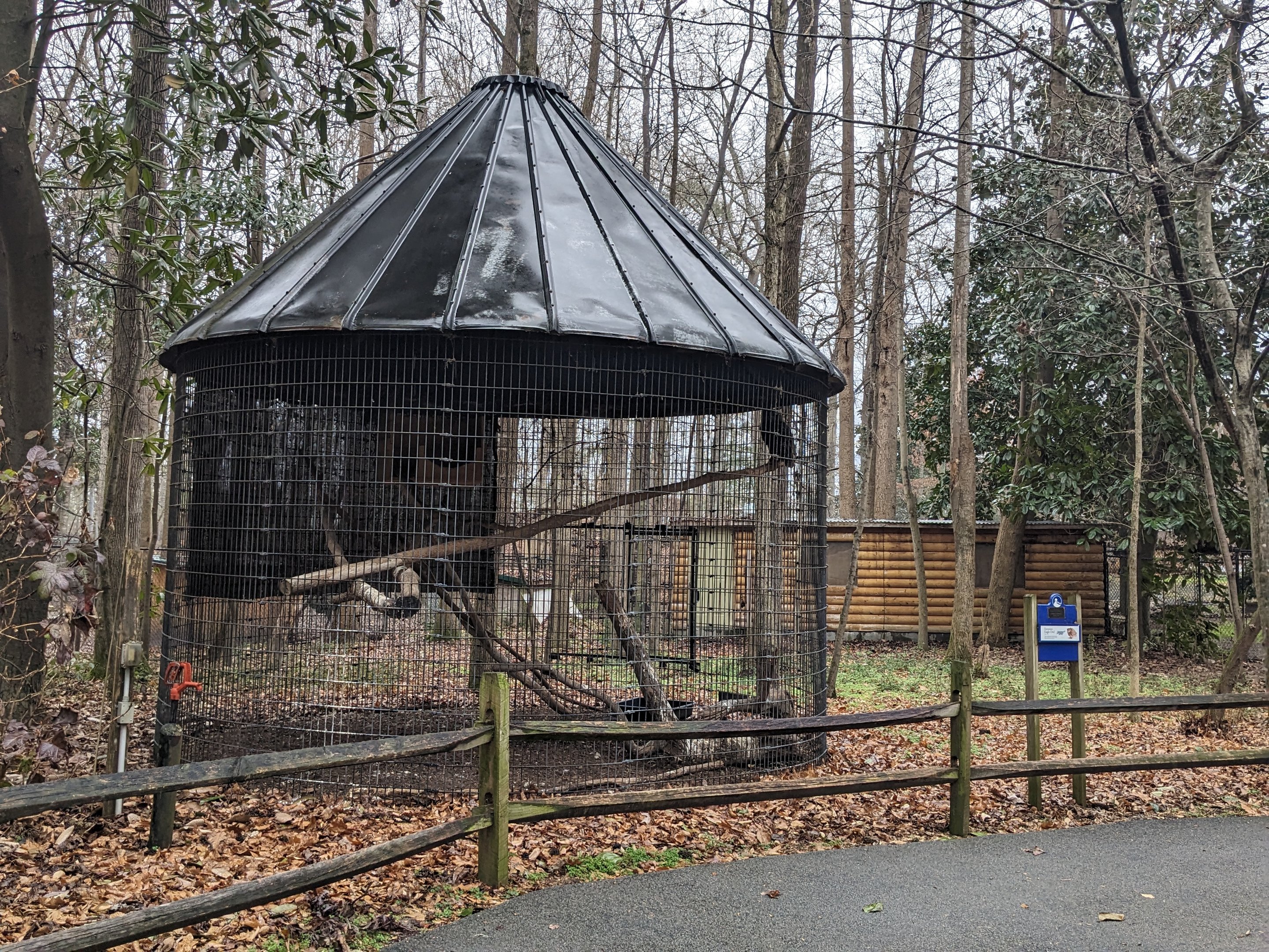 Eurasian Eagle Owl enclosure