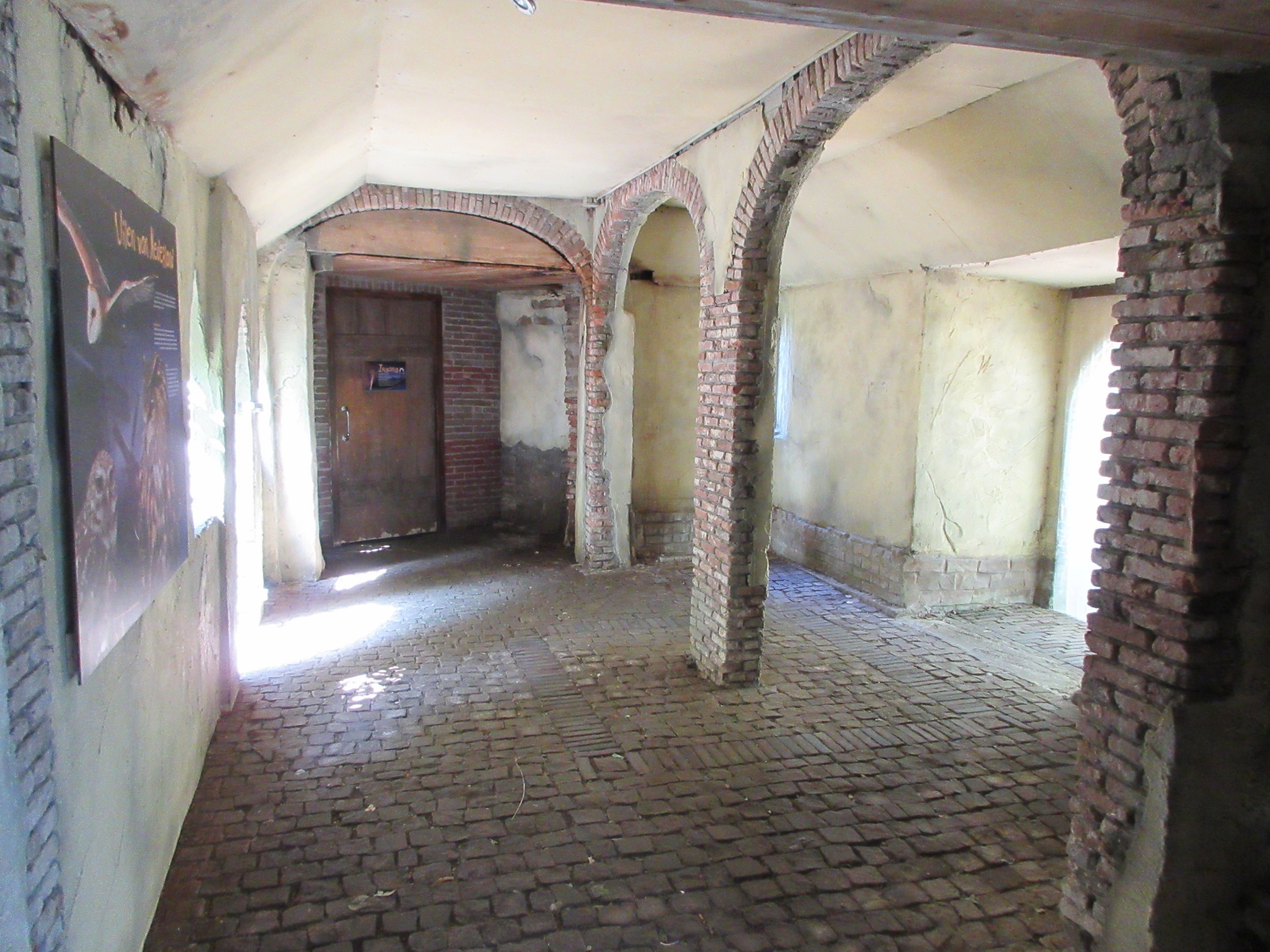 Eurasian Eagle Owl Exhibit - Visitor Area