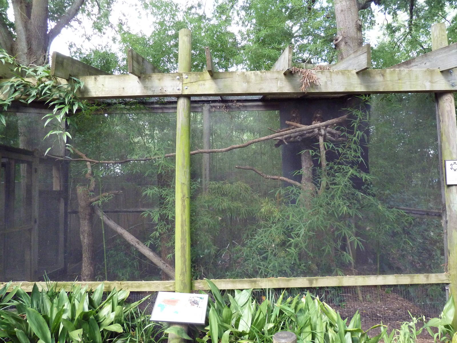 Eurasian Eagle Owl Exhibit