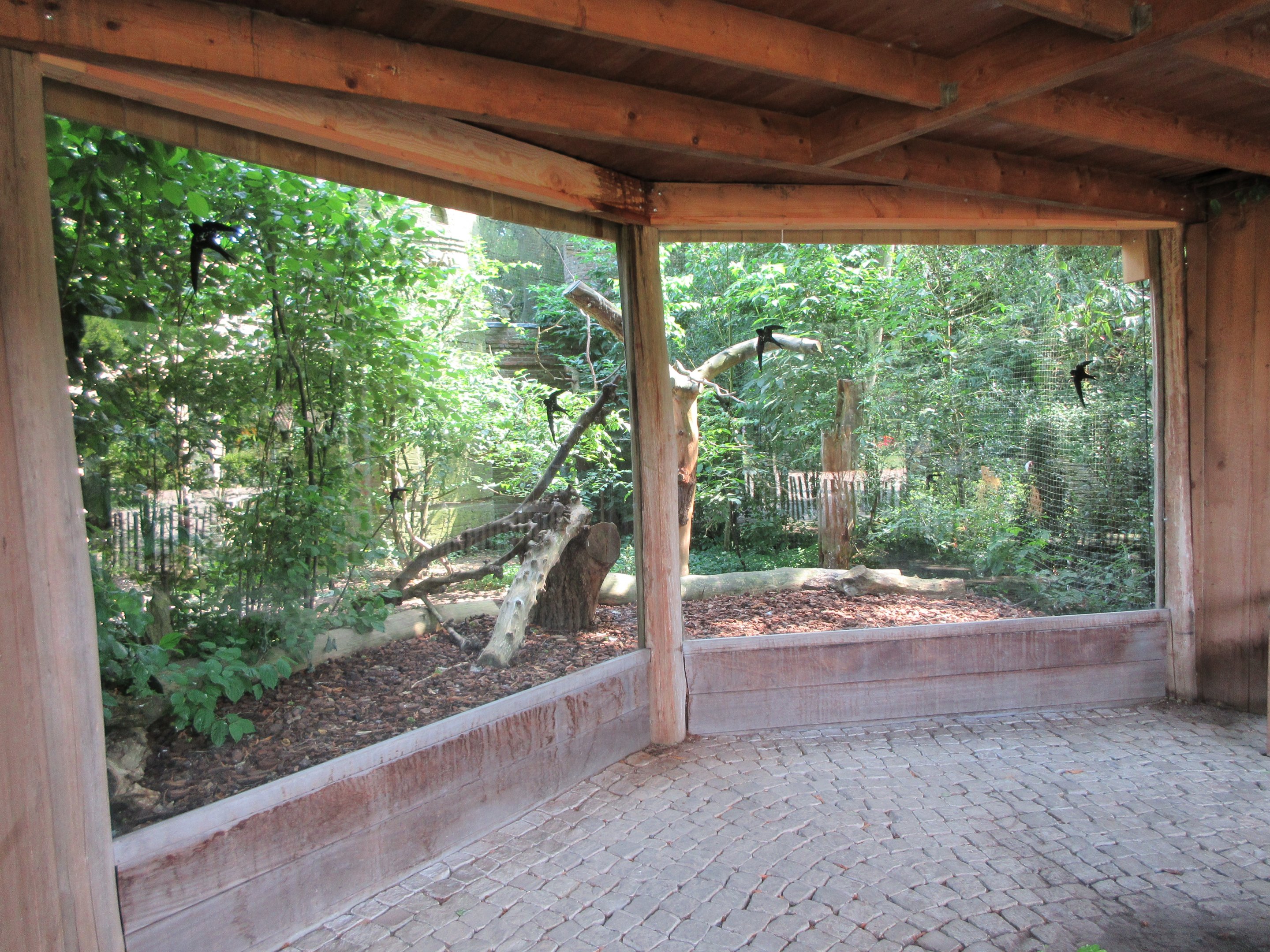 Eurasian Eagle Owl Exhibit