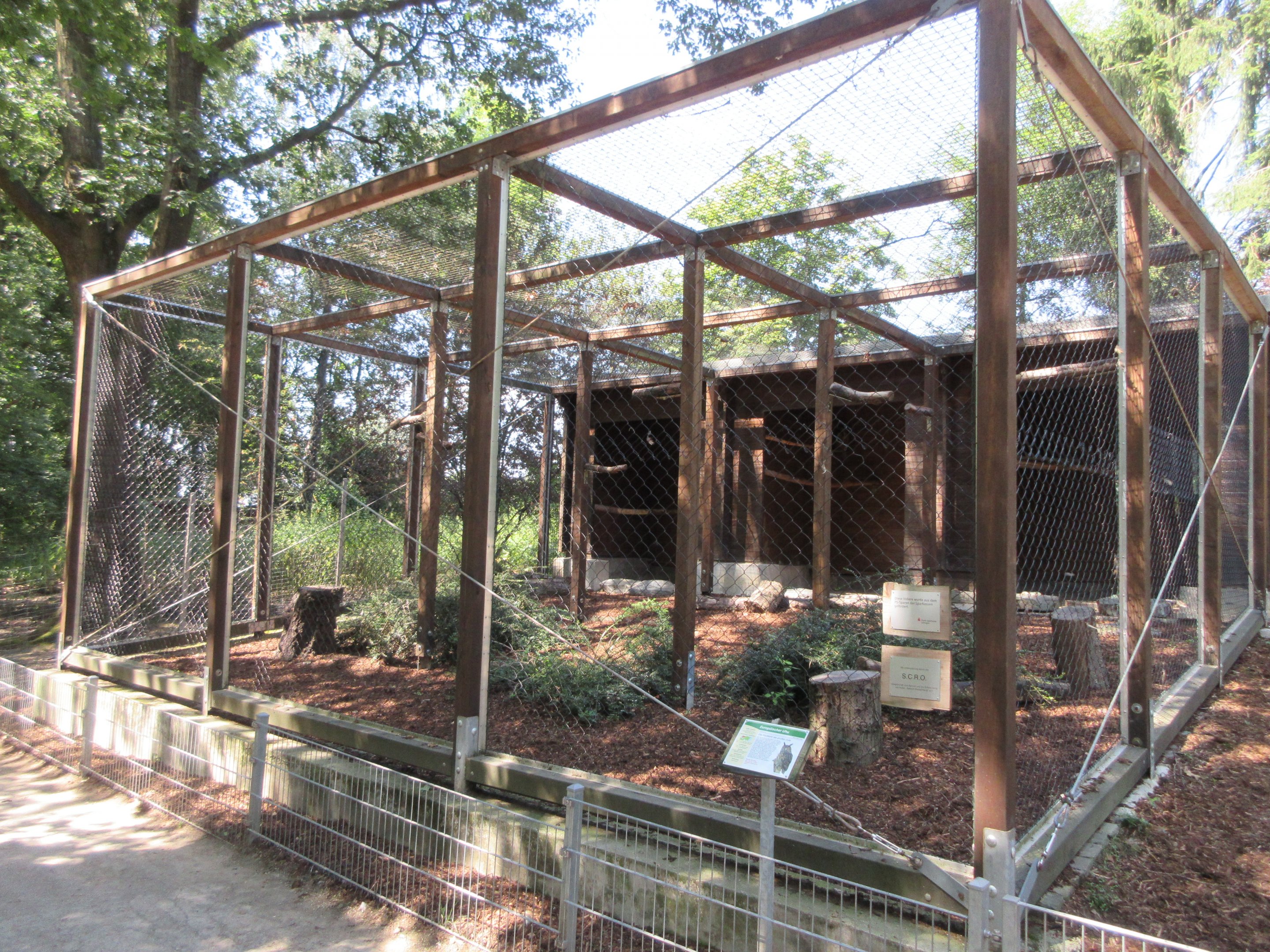 Eurasian Eagle Owl Exhibit