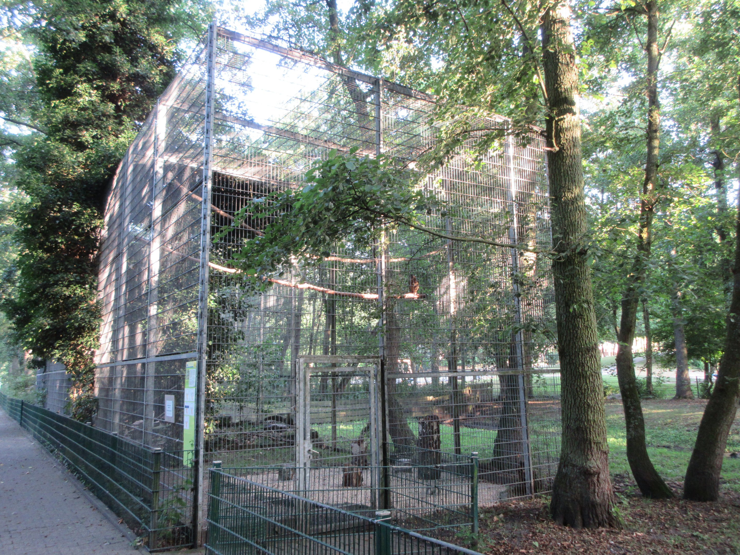 Eurasian Eagle Owl Exhibit