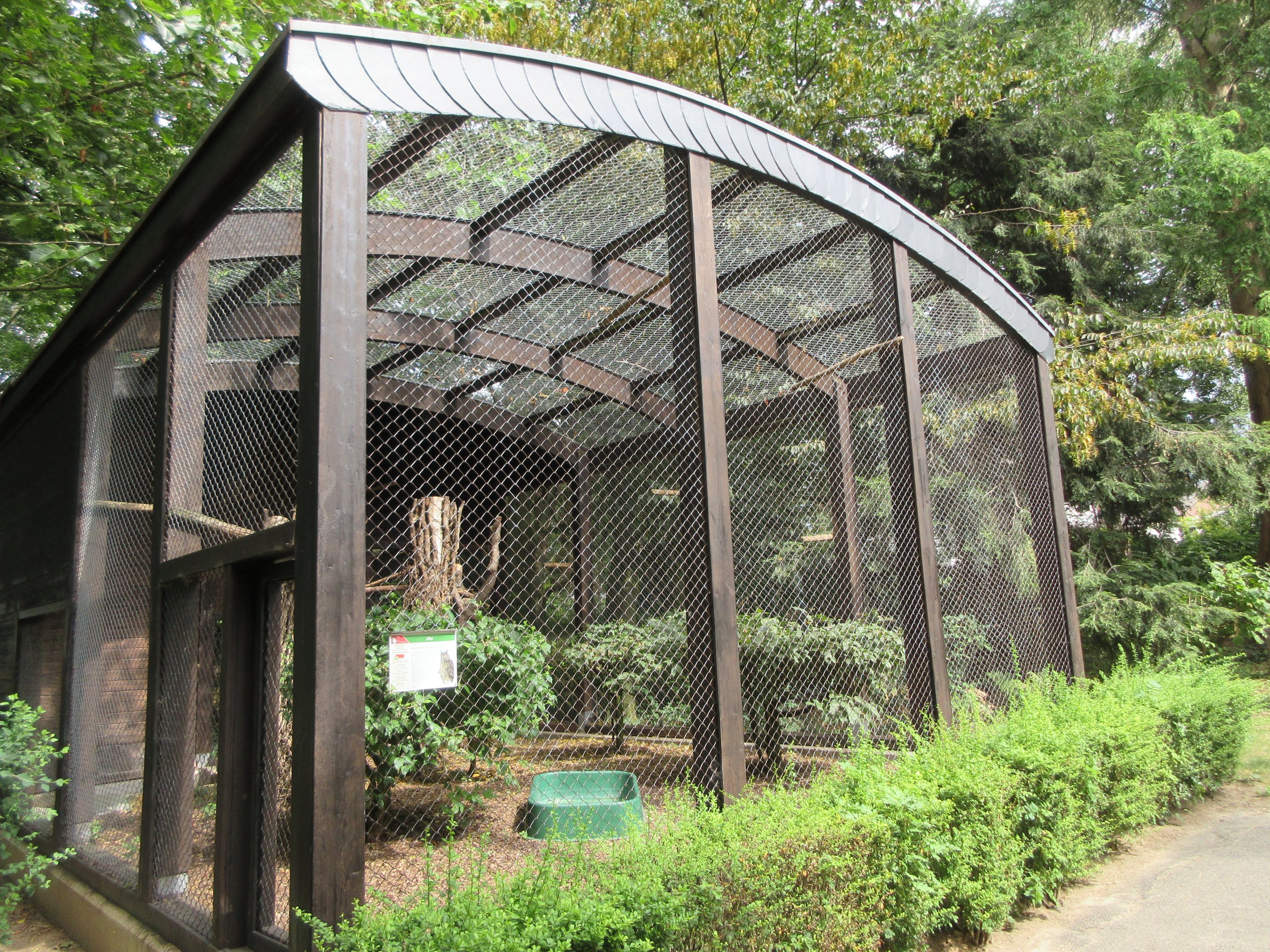 Eurasian Eagle Owl Exhibit