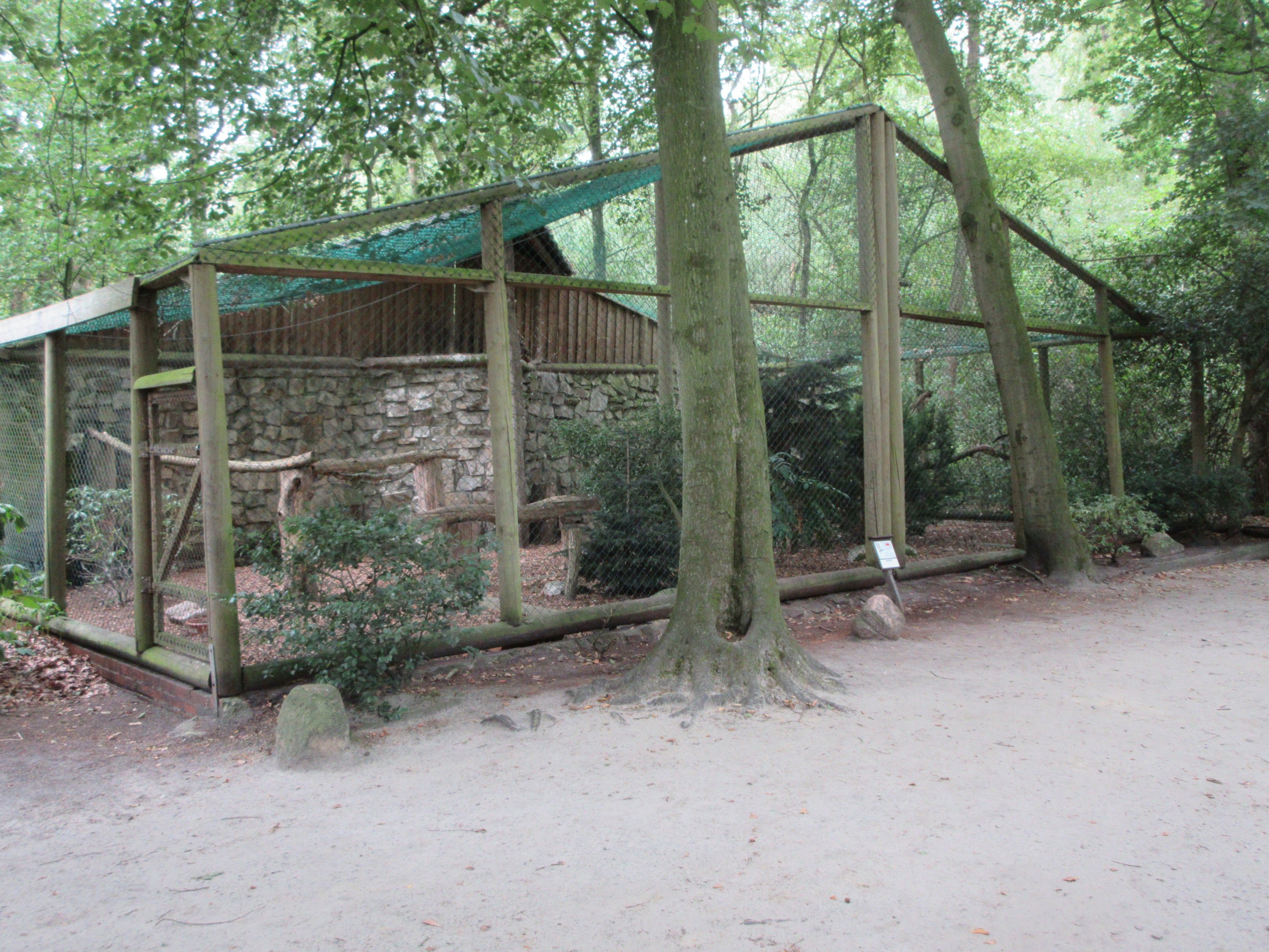 Eurasian Eagle Owl Exhibit