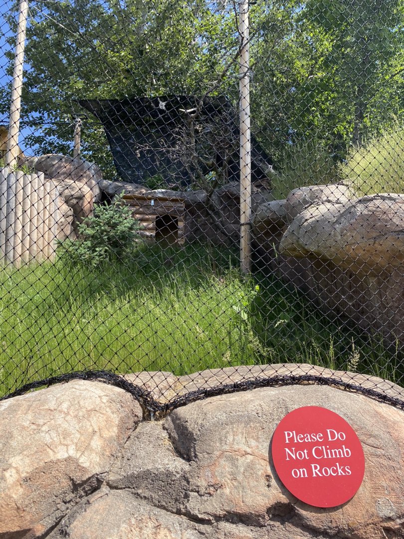 Eurasian eagle owl exhibit