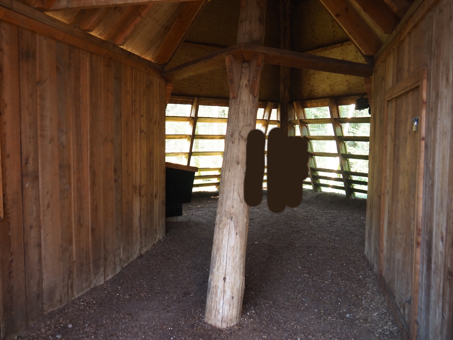 Eurasian eagle owl - Raven - Black stork aviary viewing hut, 2019-03-30