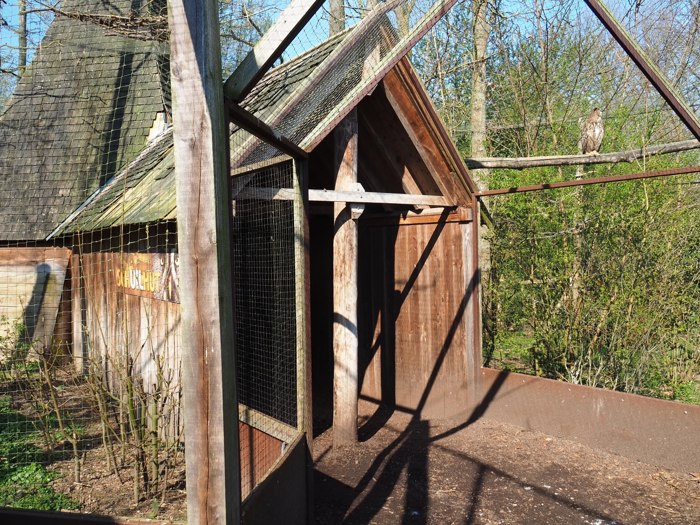 Eurasian eagle owl - Raven - Black stork aviary viewing hut, 2019-03-30