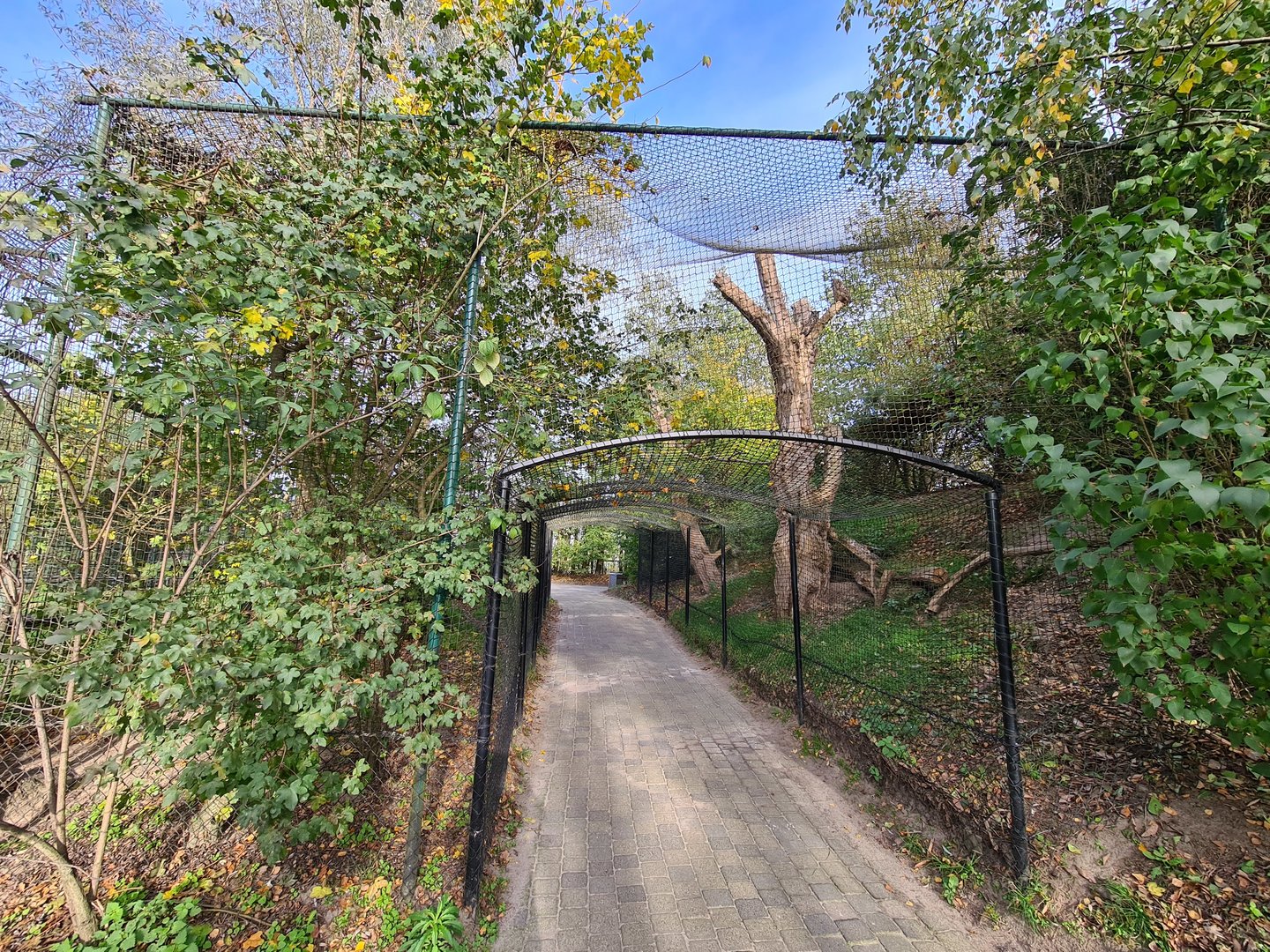 Eurasian eagle owl tunnel aviary