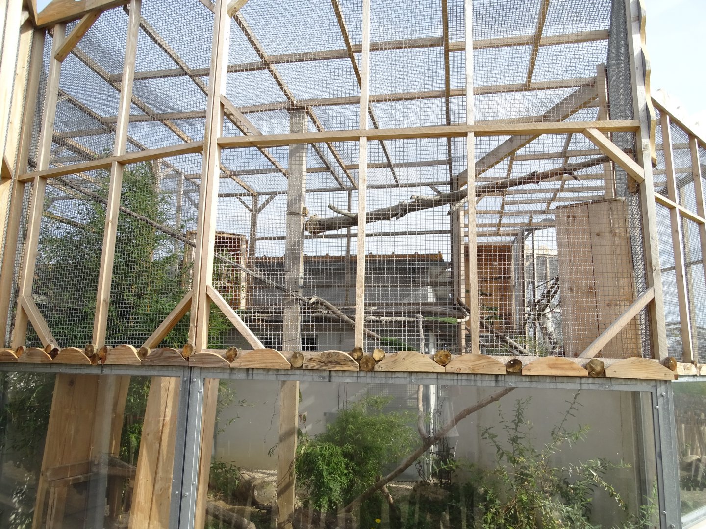 Eurasian eagle-owls aviary
