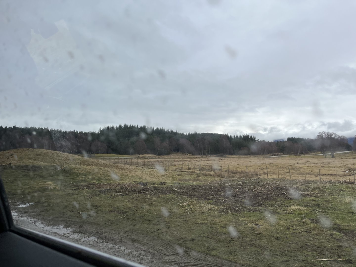 Eurasian elk drive-through reserve  5.4.24