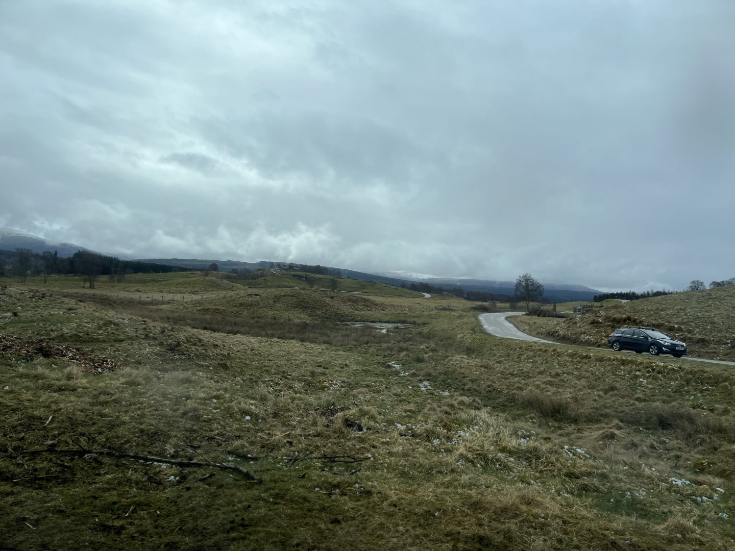 Eurasian elk drive-through reserve 5.4.24