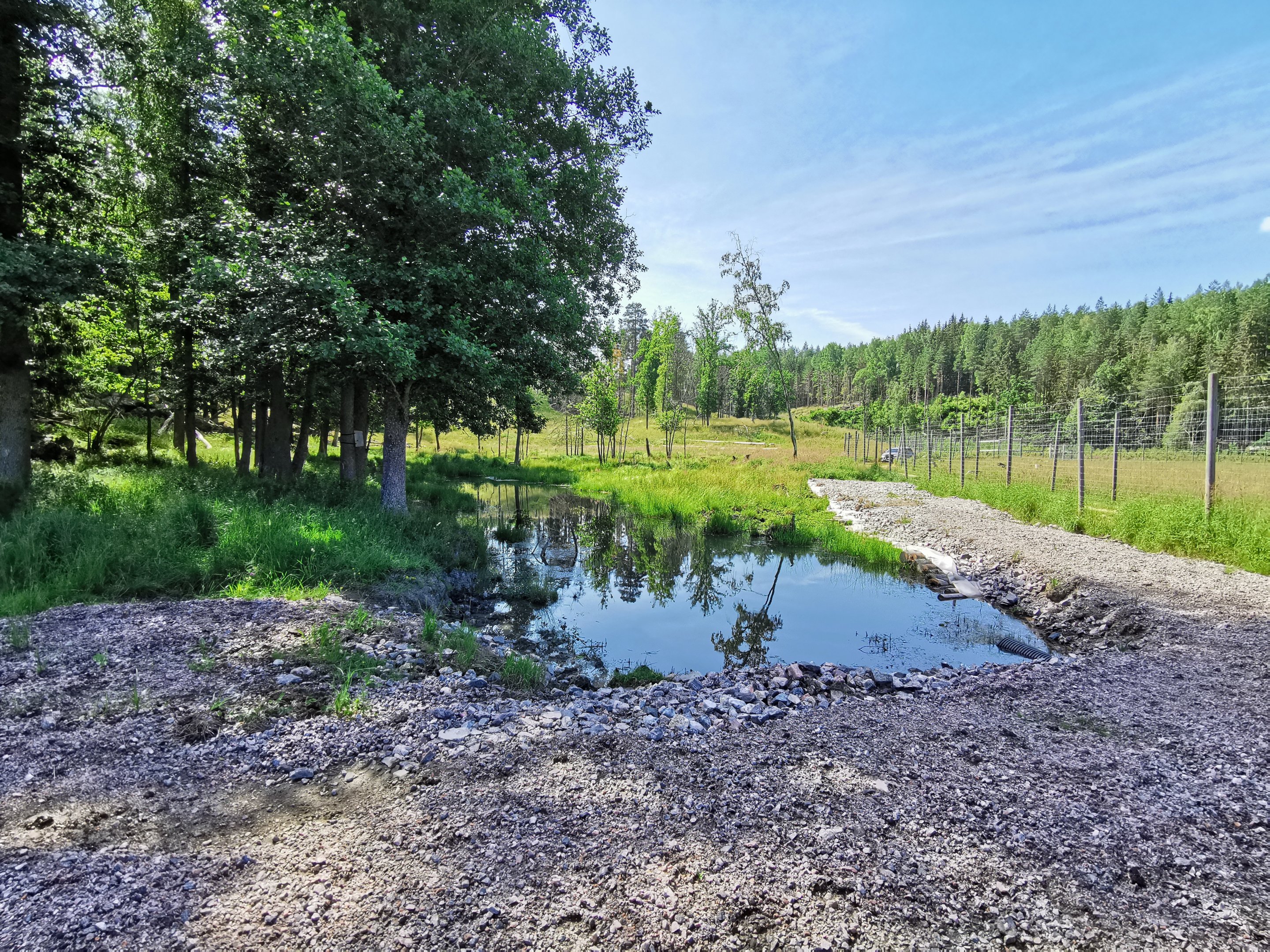 Eurasian elk enclosure