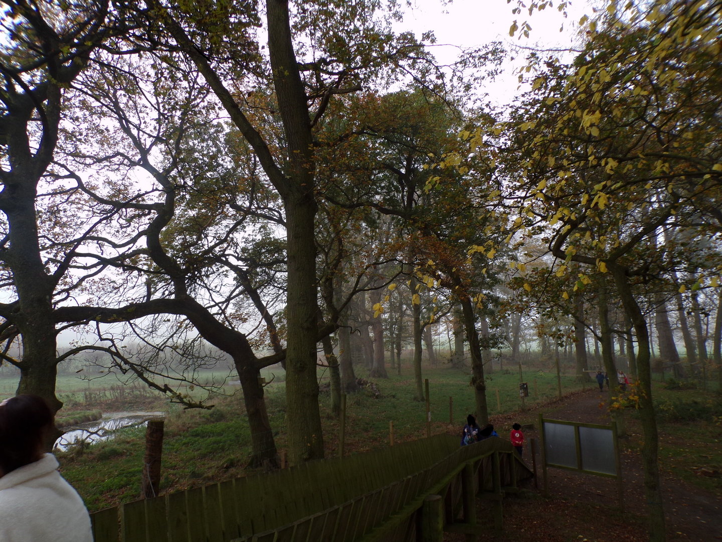 Eurasian elk enclosure
