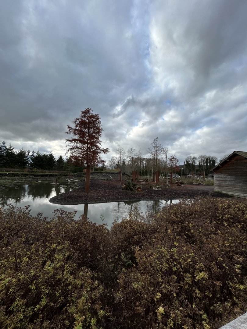 Eurasian elk exhibit left side