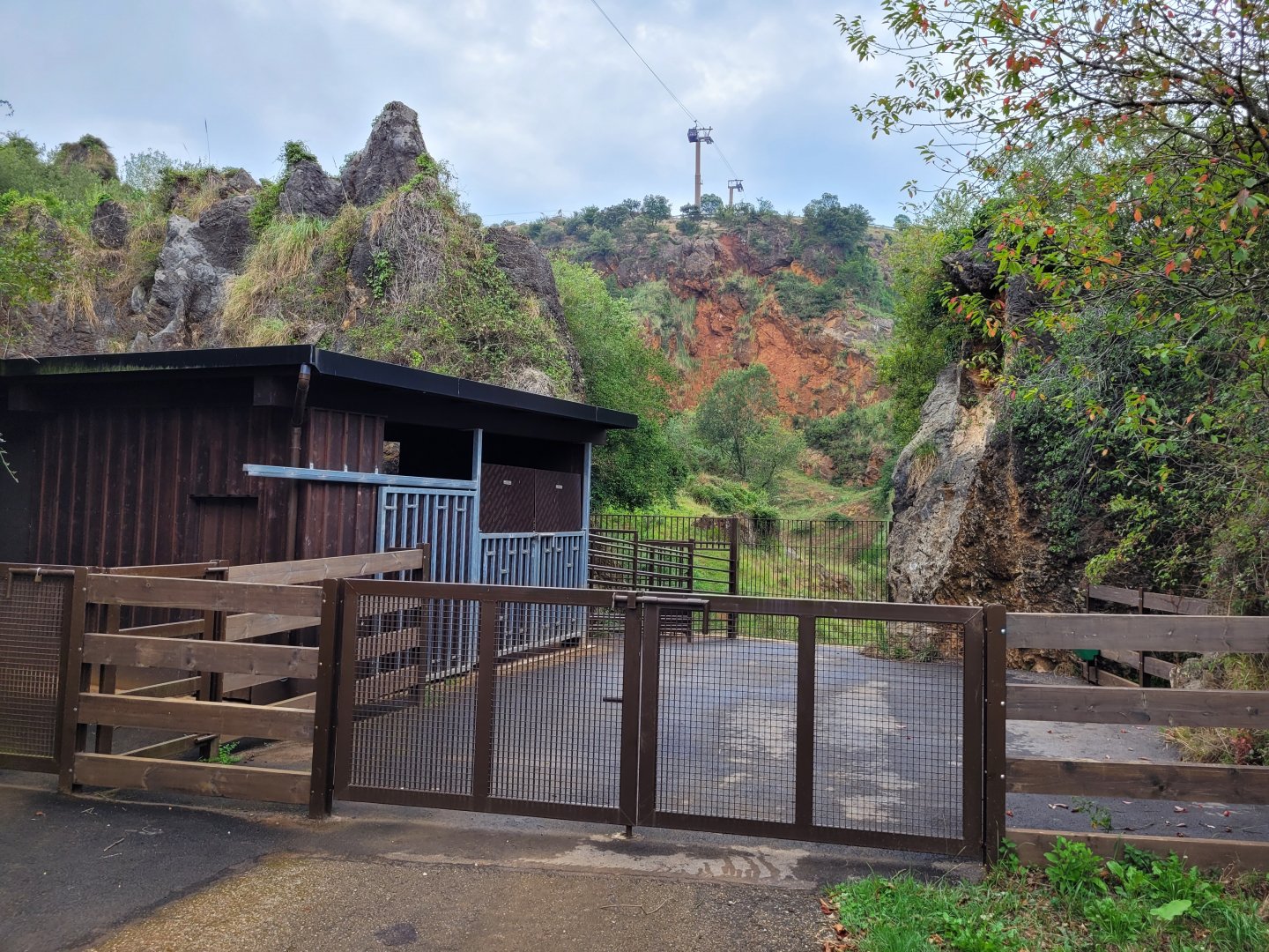 Eurasian elk exhibit -Parque de la Naturaleza de Cabárceno (2022)