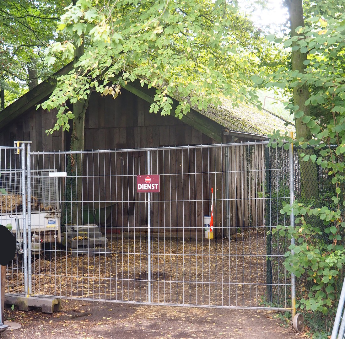 Eurasian forest reindeer barn, 2022-08-20